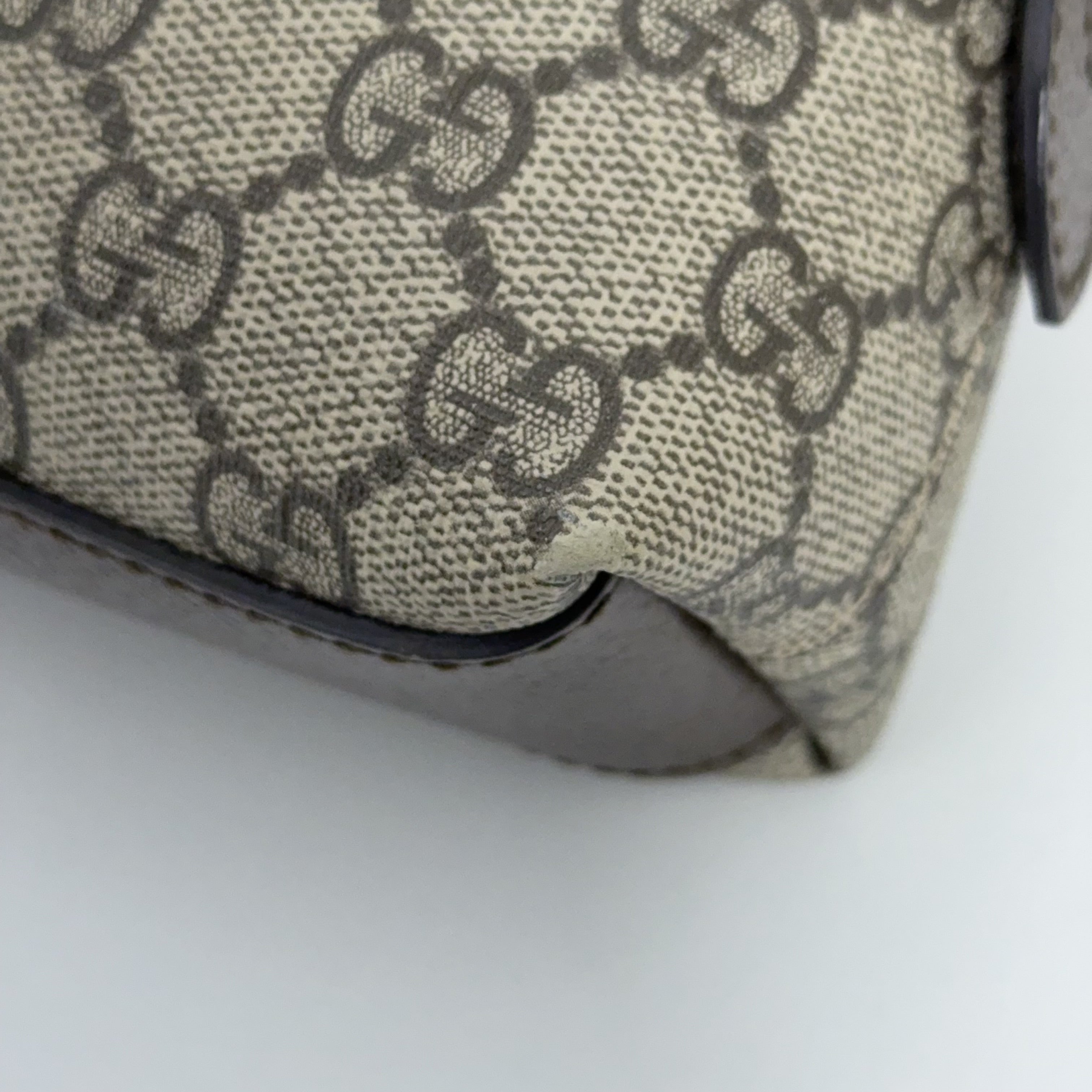 GG Dome Bag