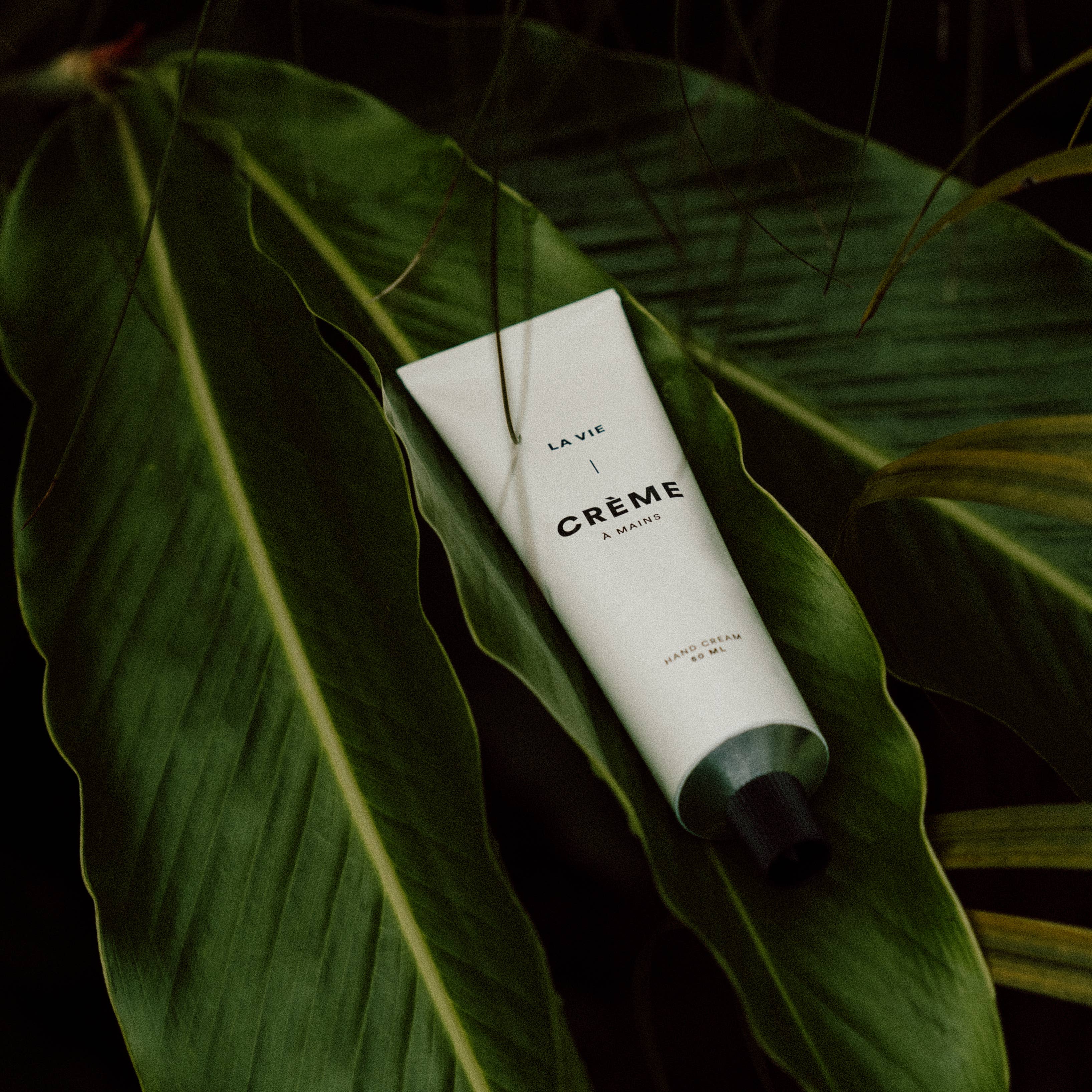 *BESTSELLER* Orange Blossom & Citrus Peel
