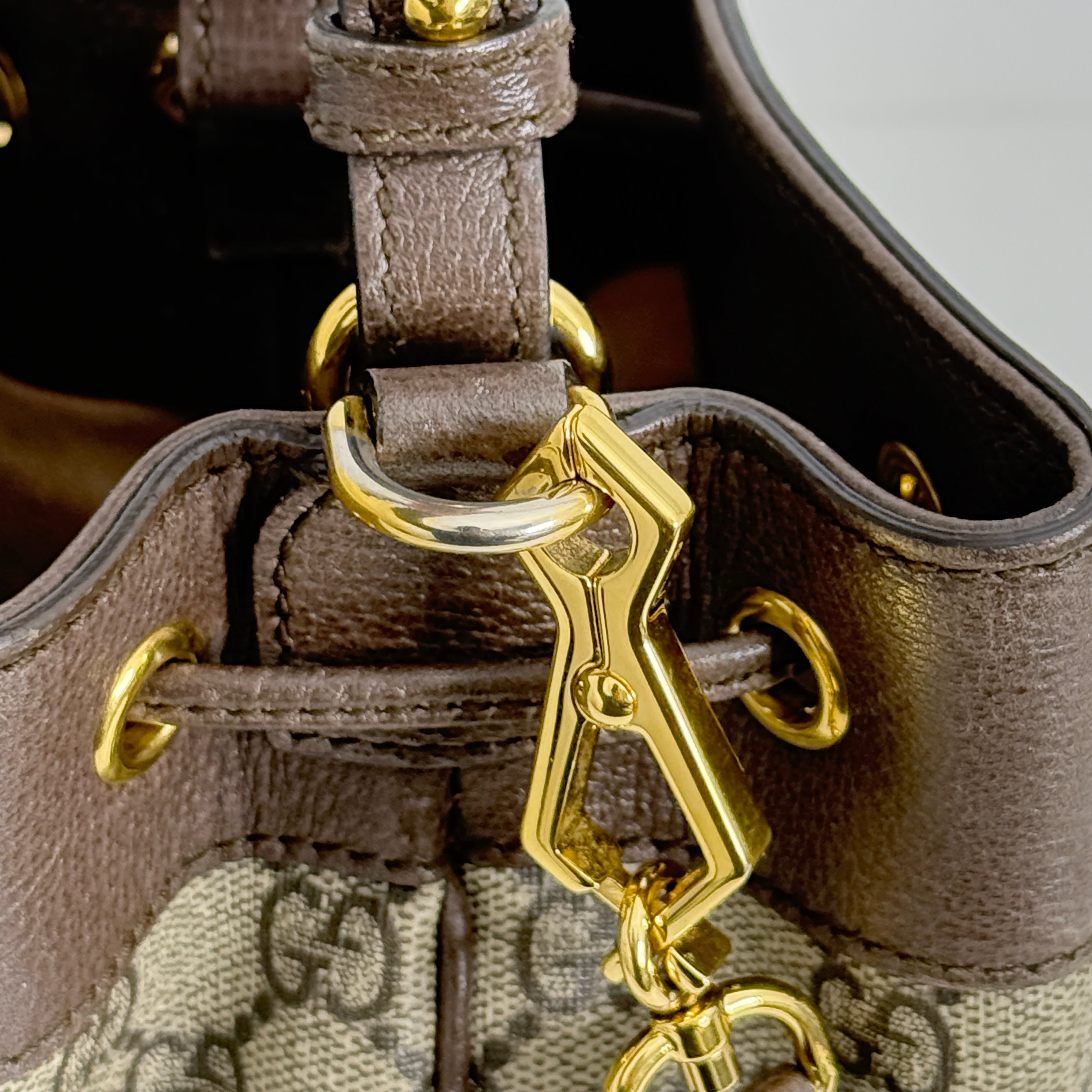 Small Ophidia Bucket Bag