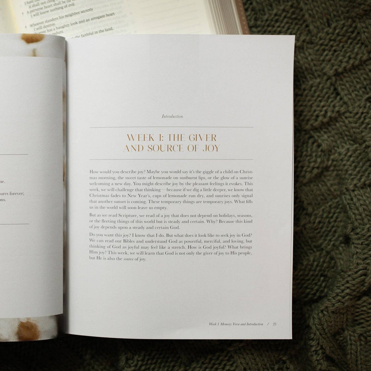 A Joy That Endures Bible Study