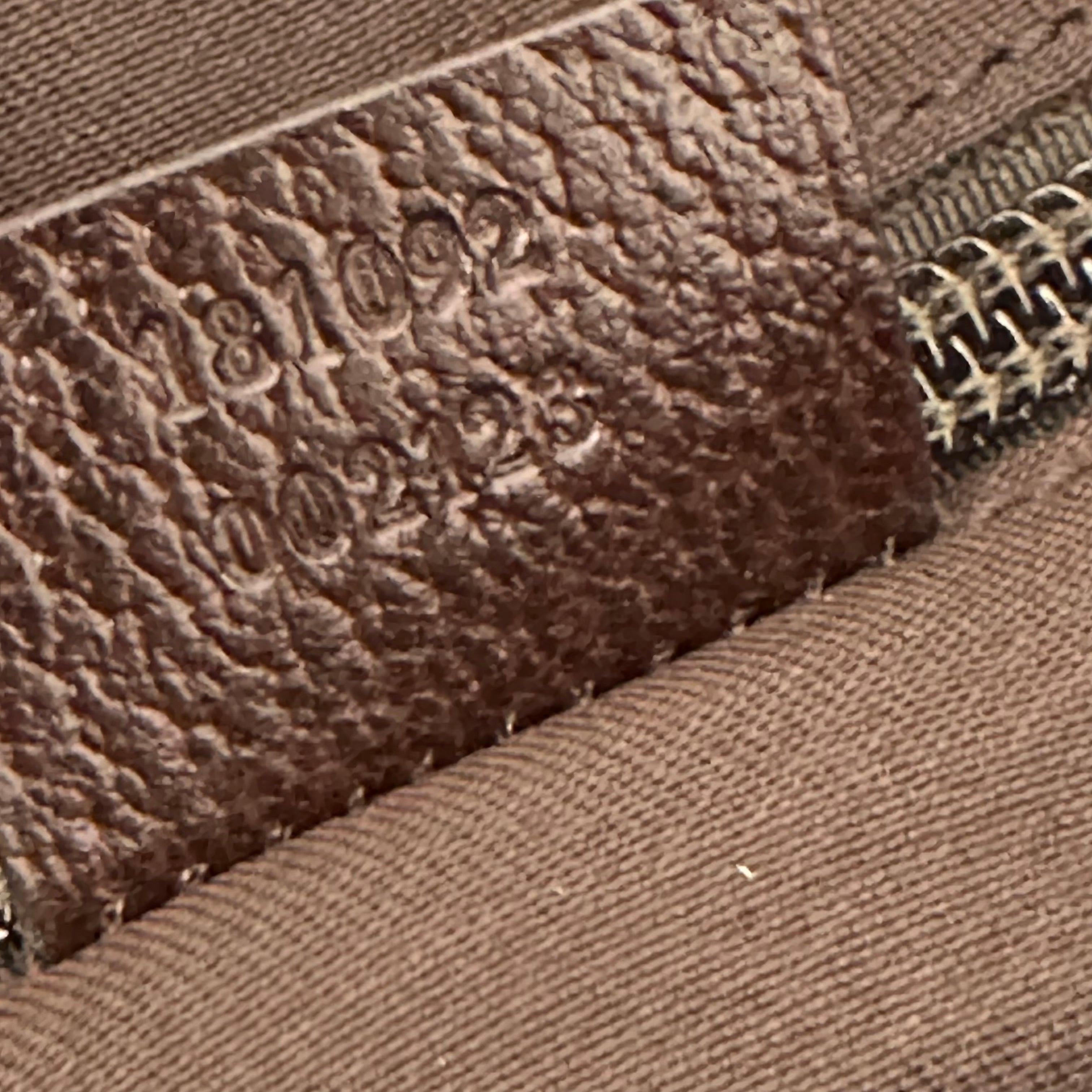 GG Web Brown Messenger Bag