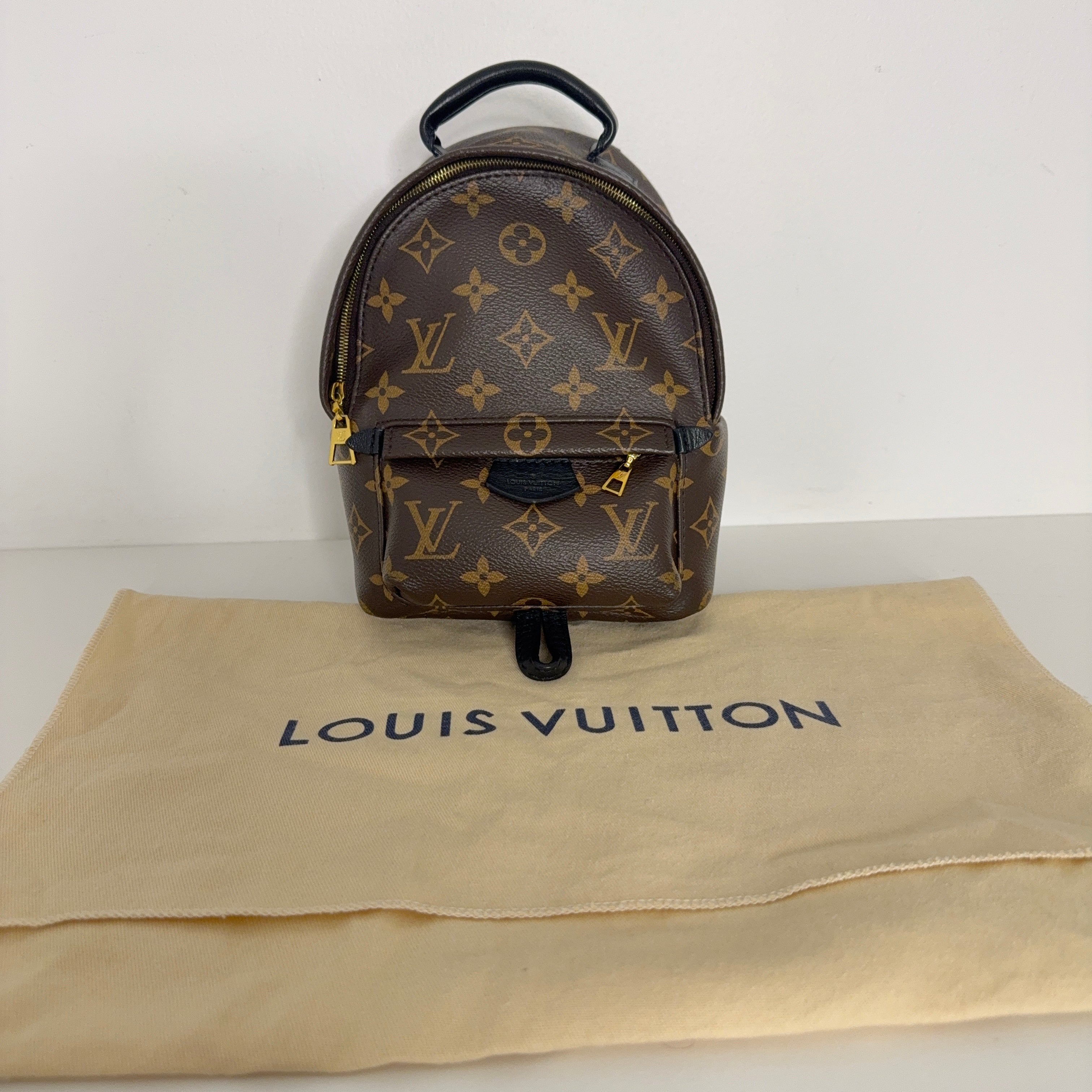 Palm Spring Mini