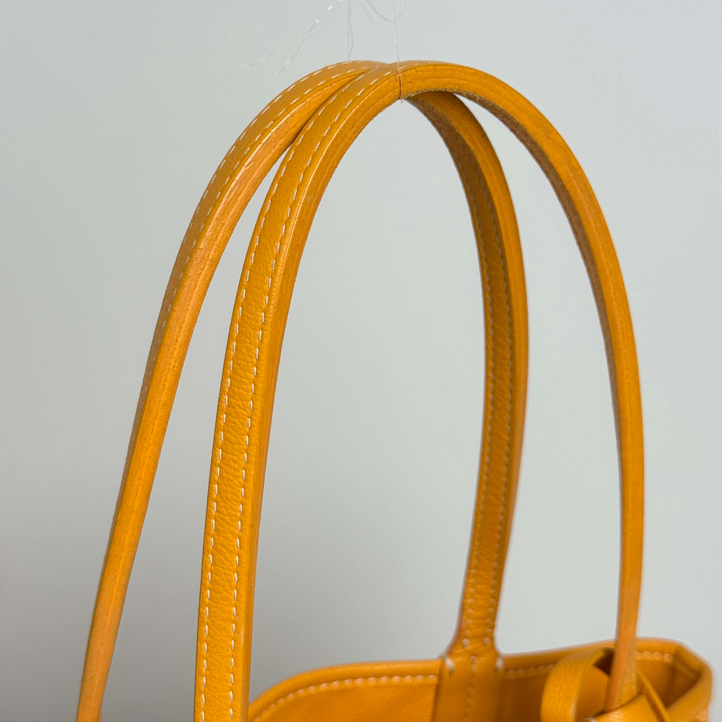 Yellow Mini Anjou