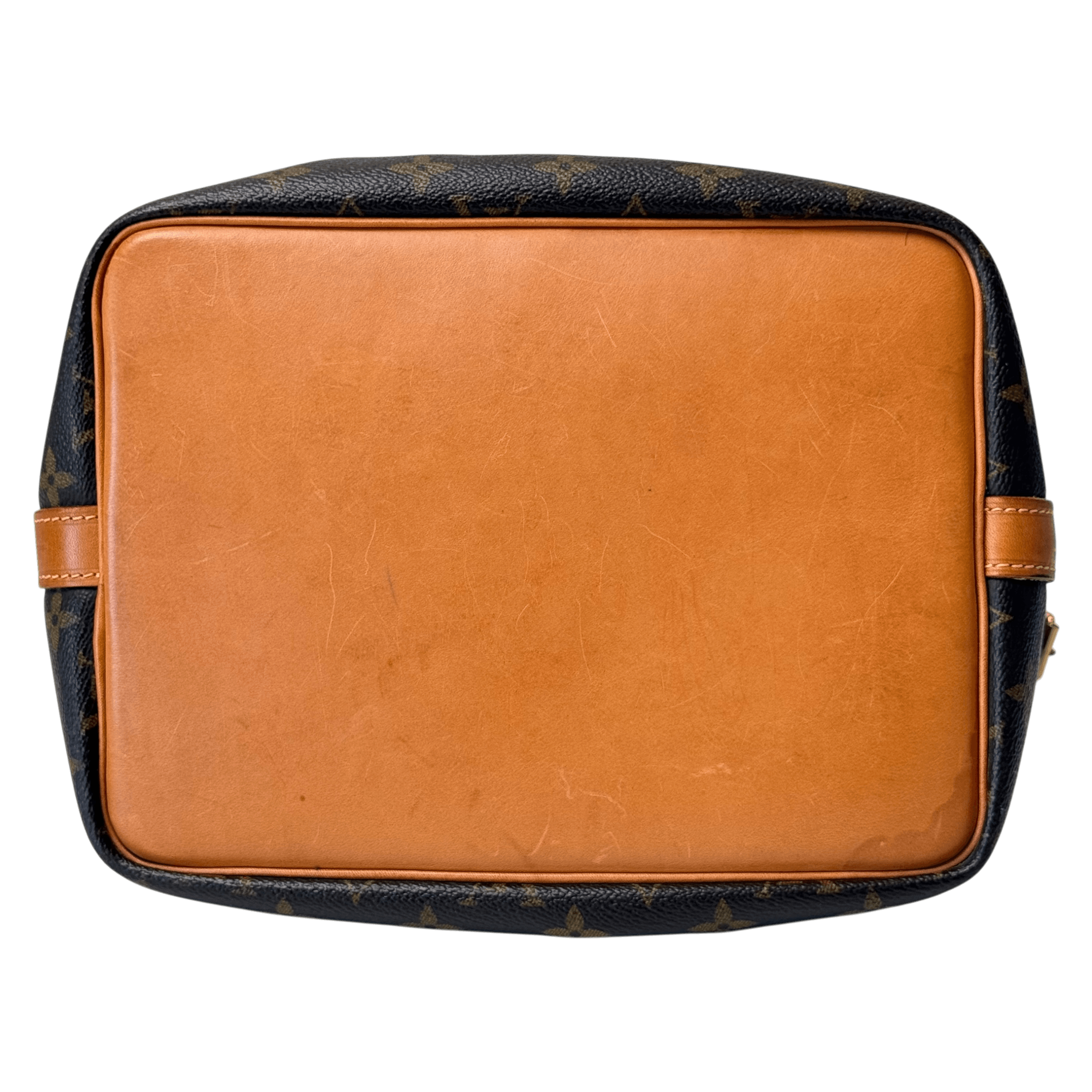 Petite Noé