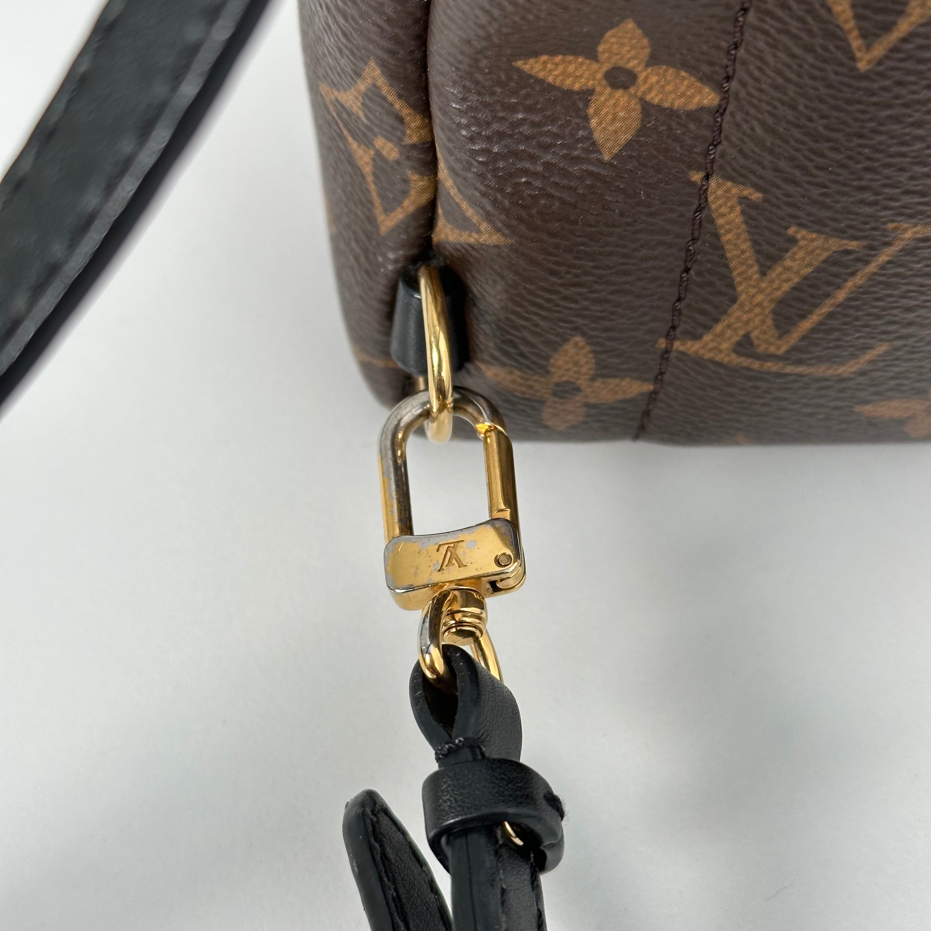 Palm Spring Mini