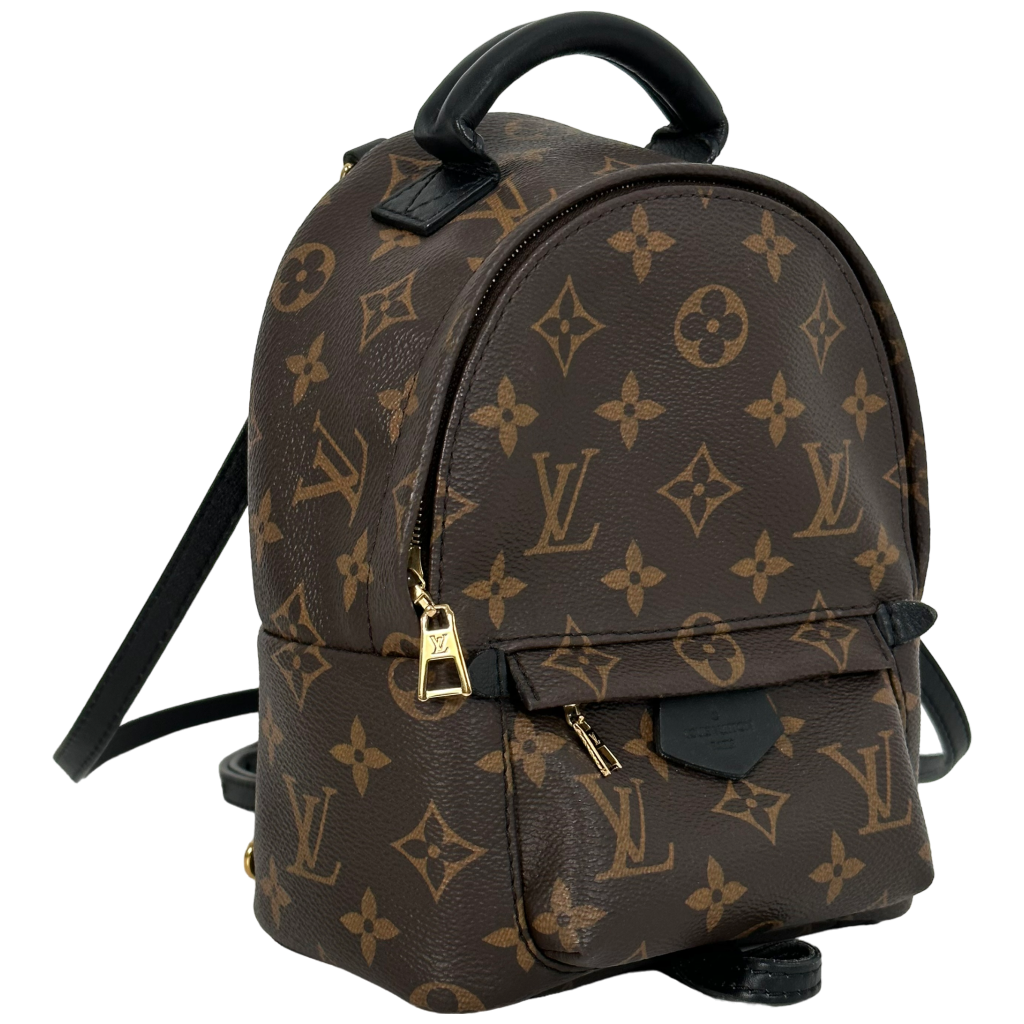 Palm Spring Mini