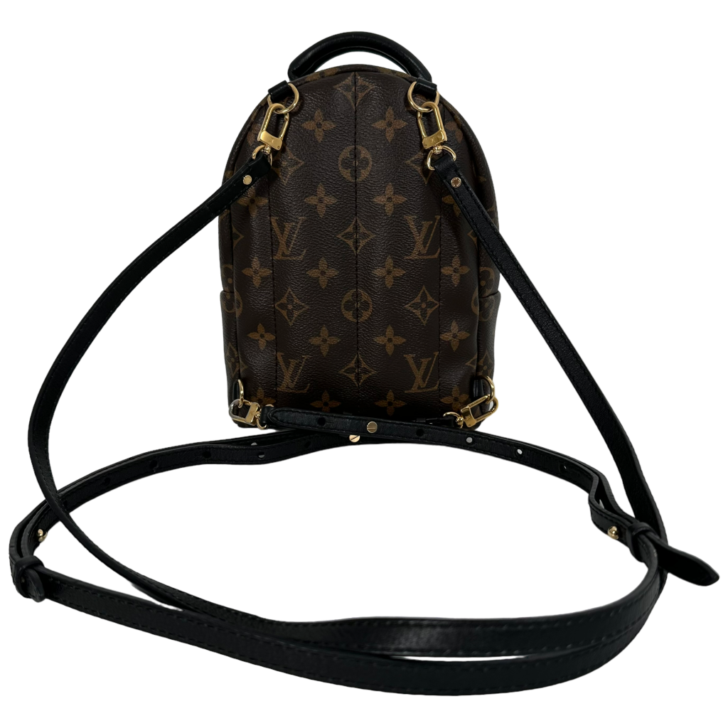 Palm Spring Mini