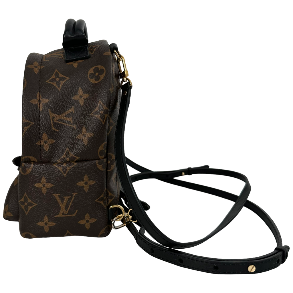 Palm Spring Mini