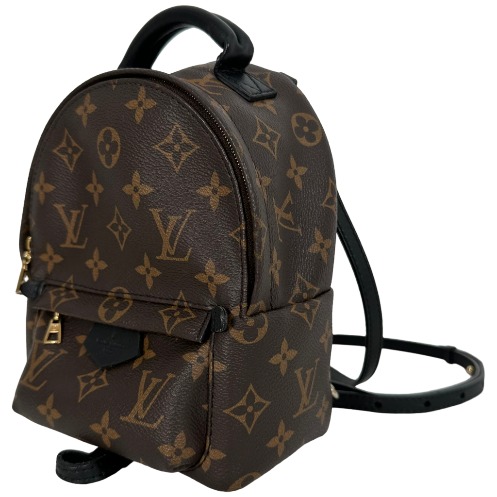 Palm Spring Mini