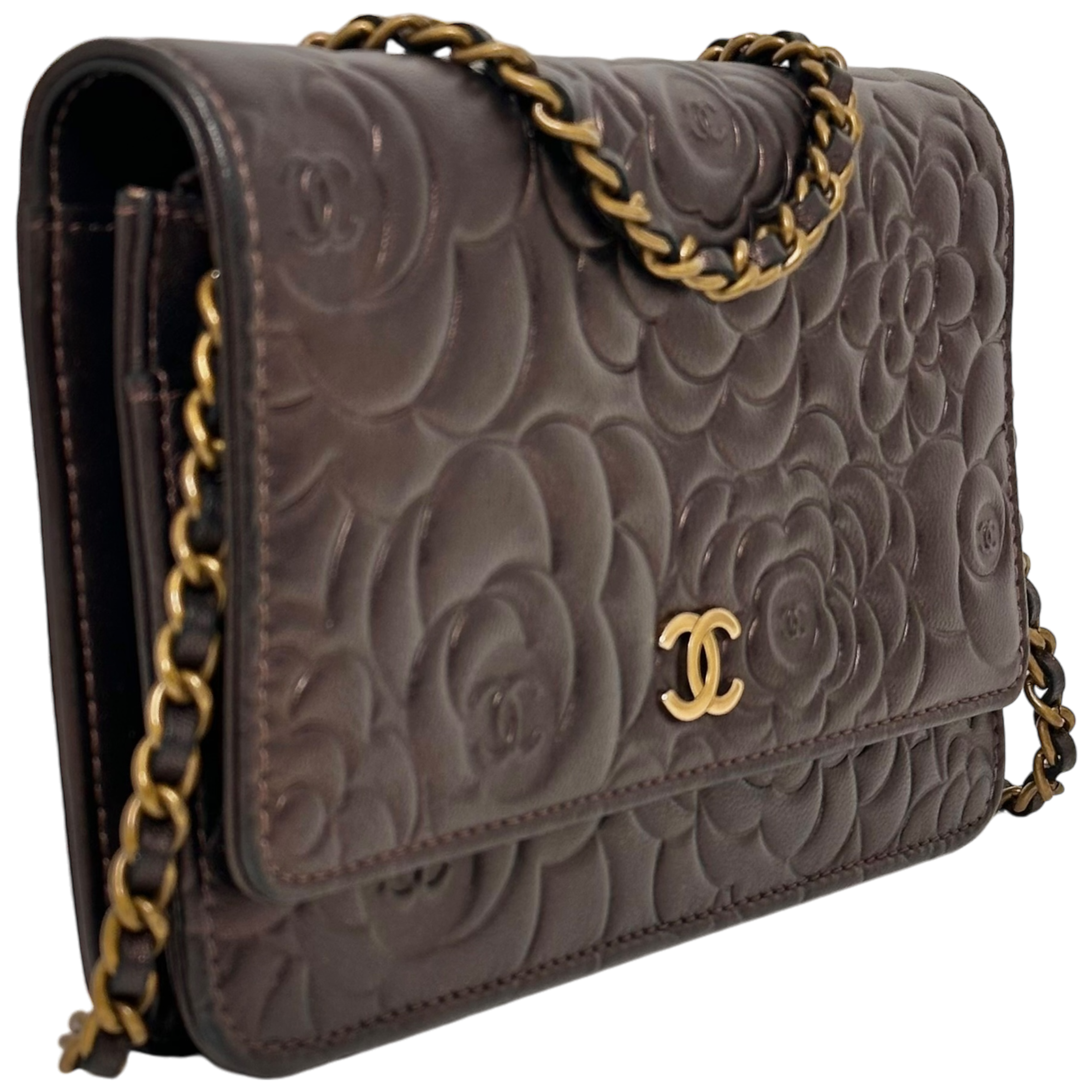 Bronze Camelia WOC