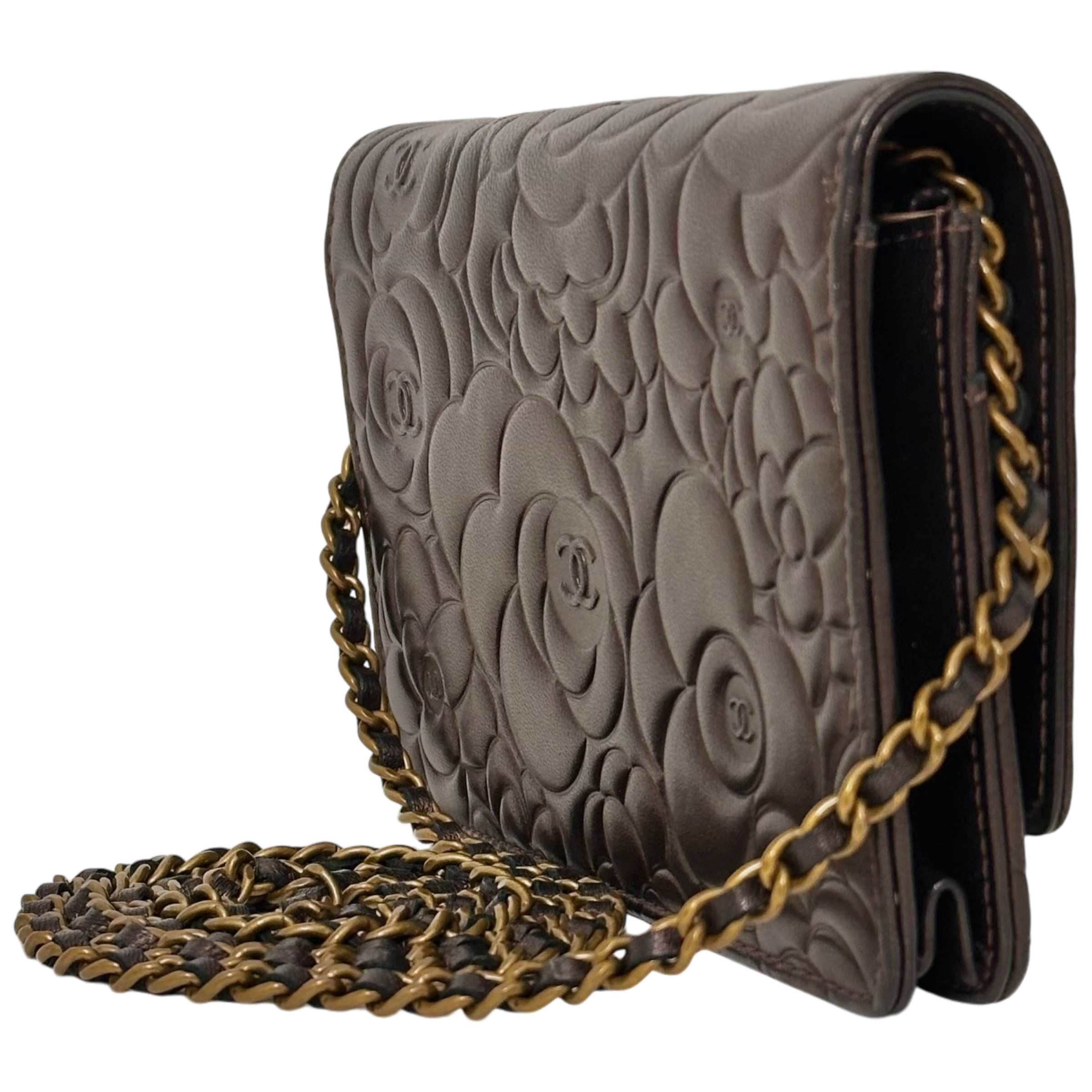 Bronze Camelia WOC