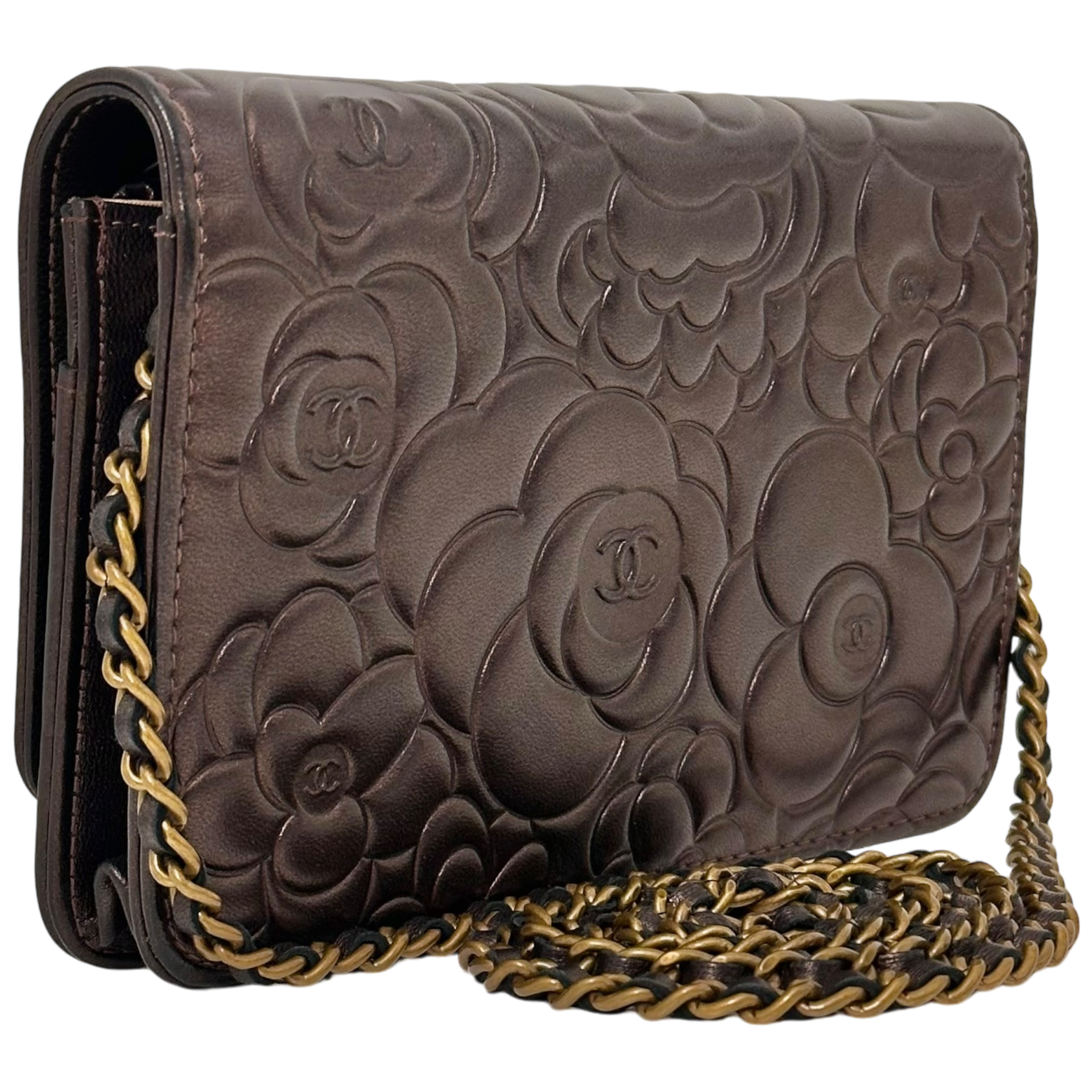 Bronze Camelia WOC