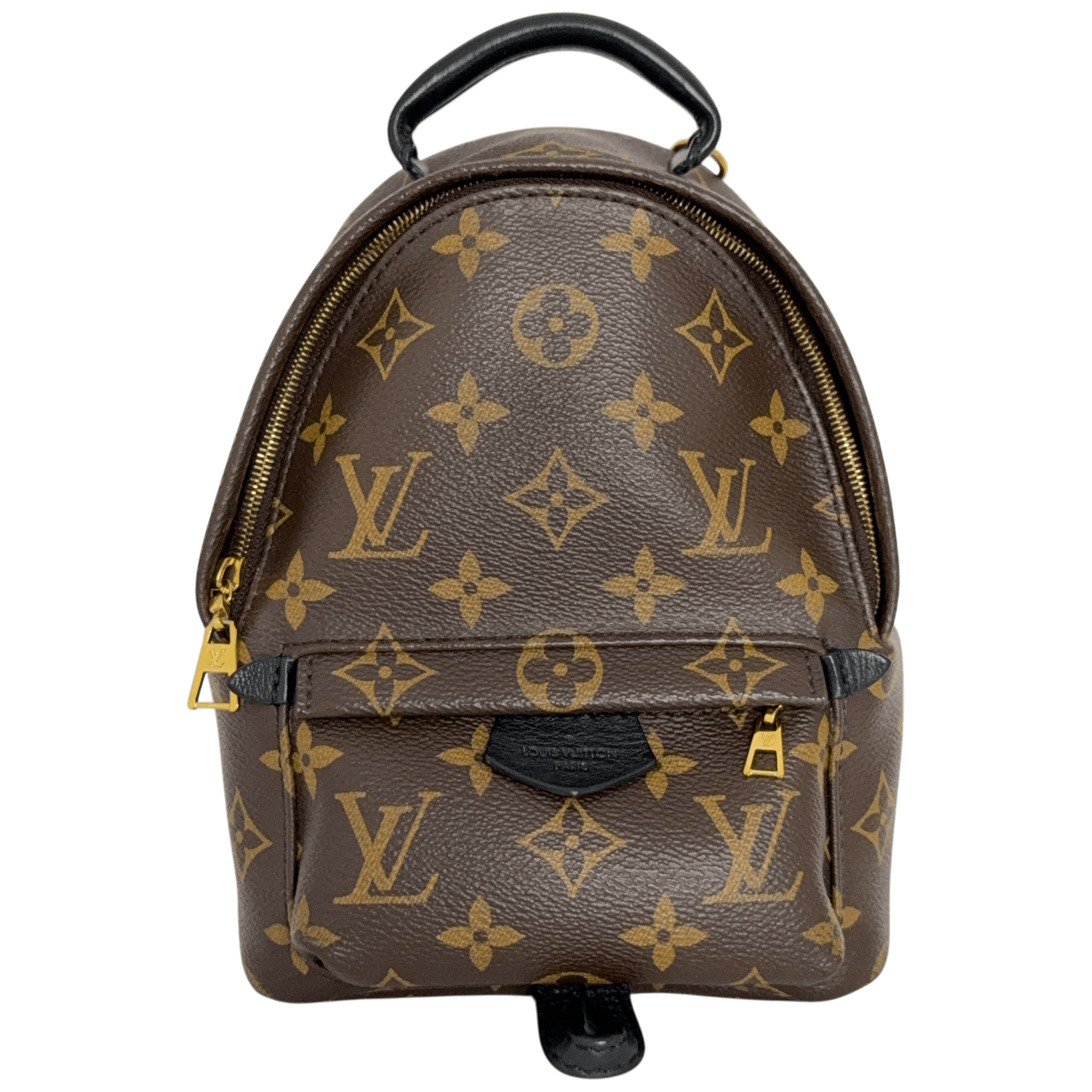 Palm Spring Mini