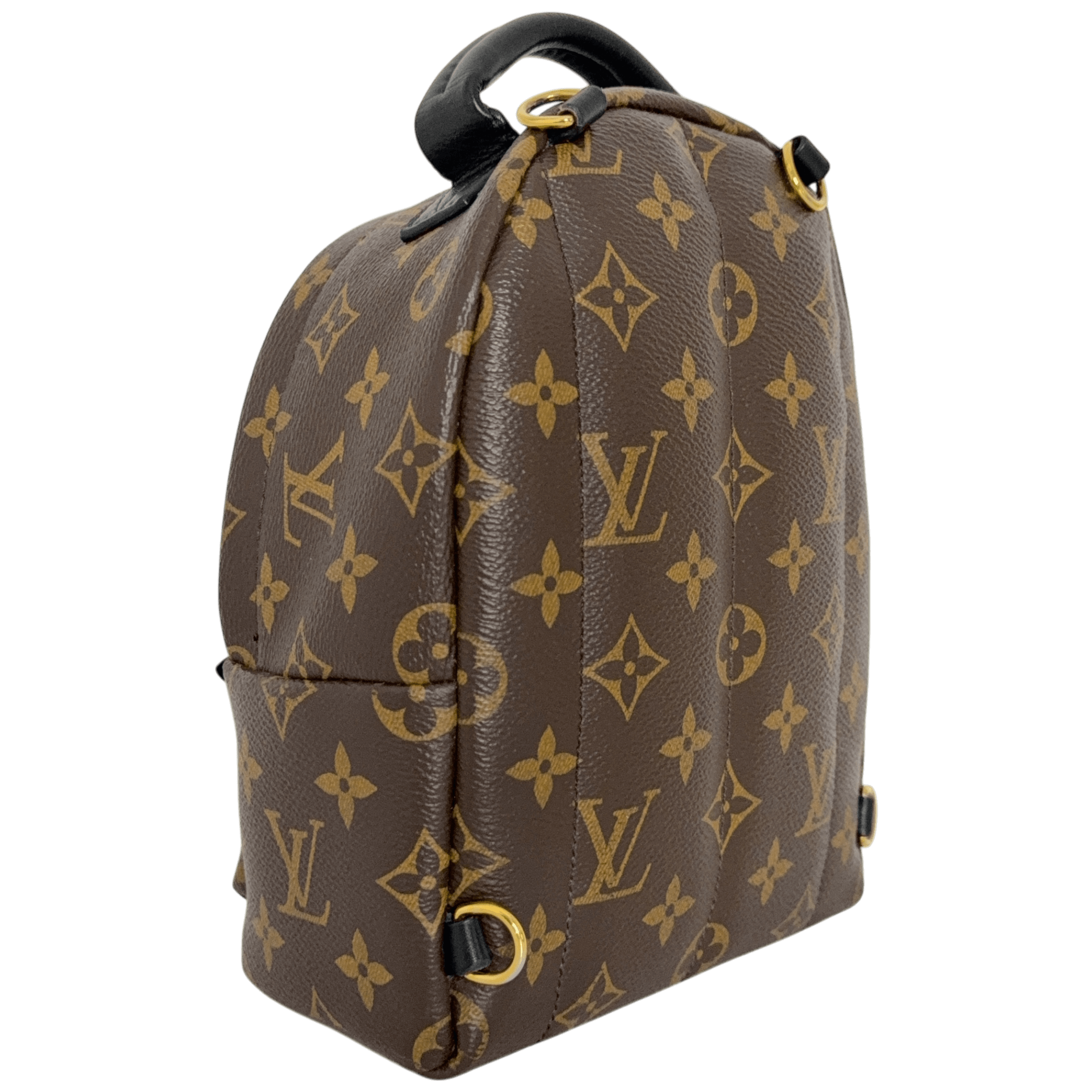 Palm Spring Mini