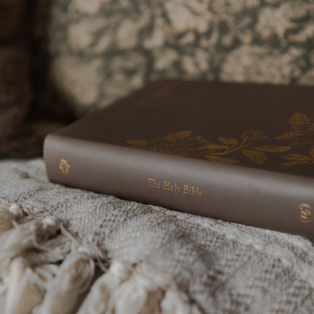 ESV Single Column Journaling Bible | Delight