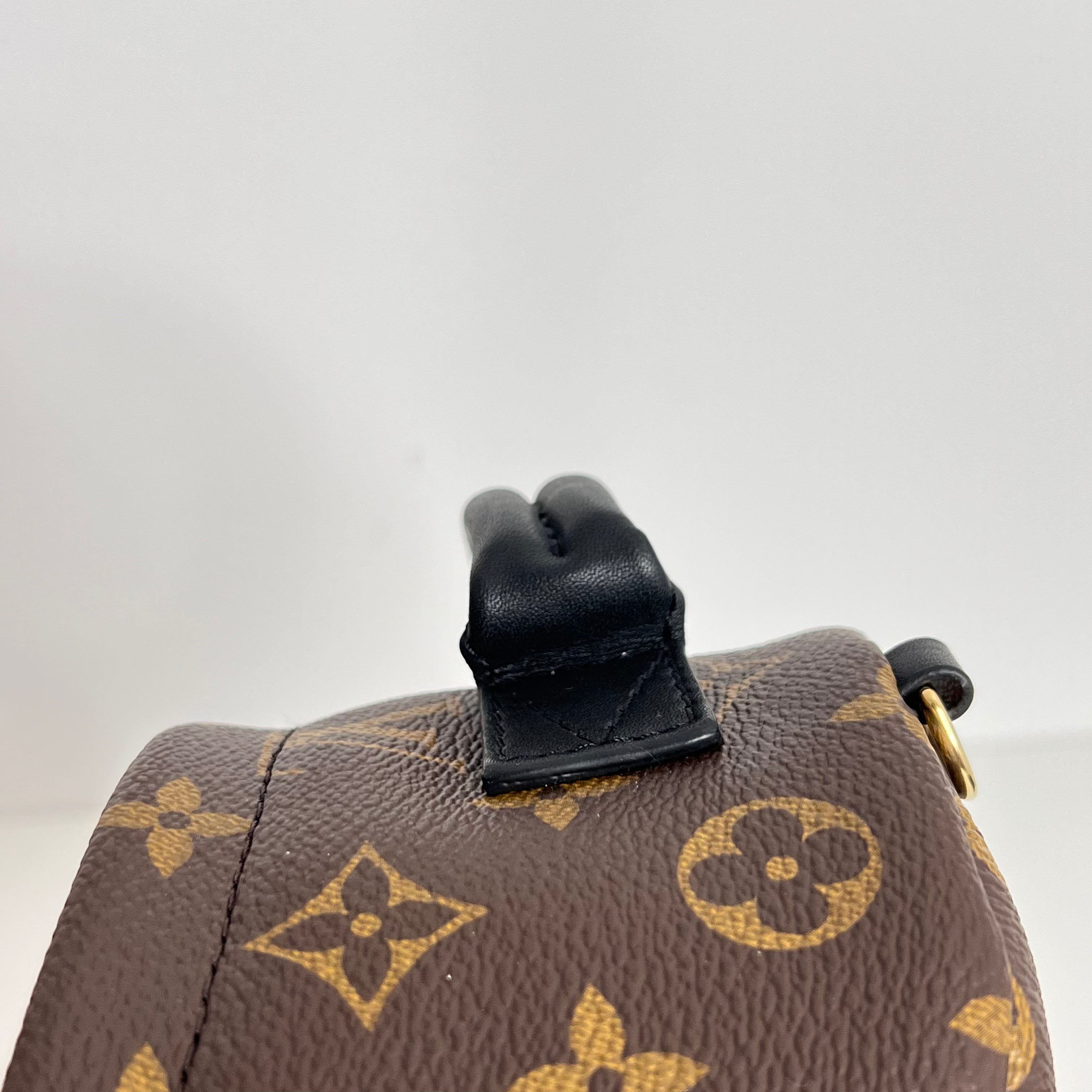 Palm Springs Mini