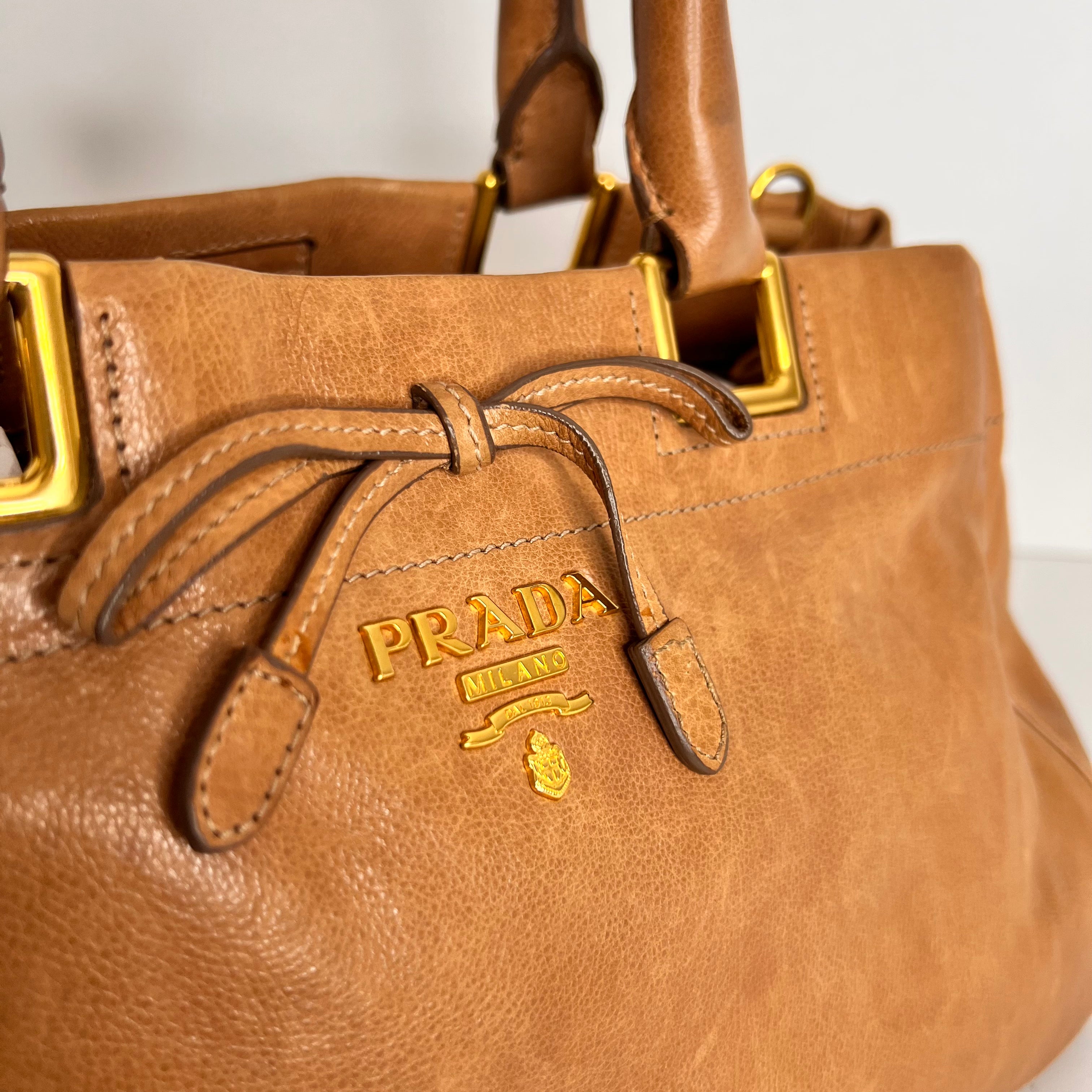 Cammeo Calfskin Ribbon Bag