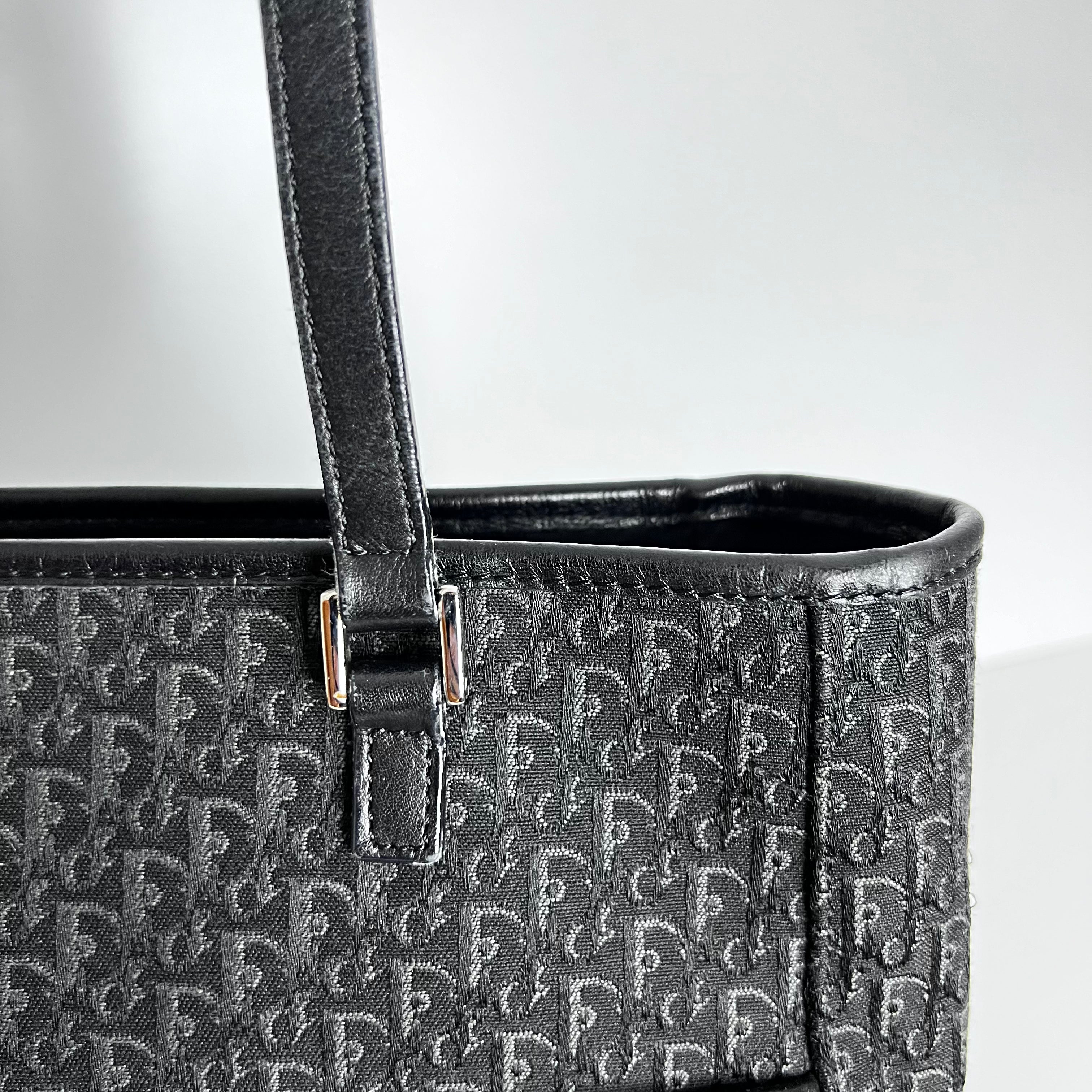 Small Trotter Canvas Tote