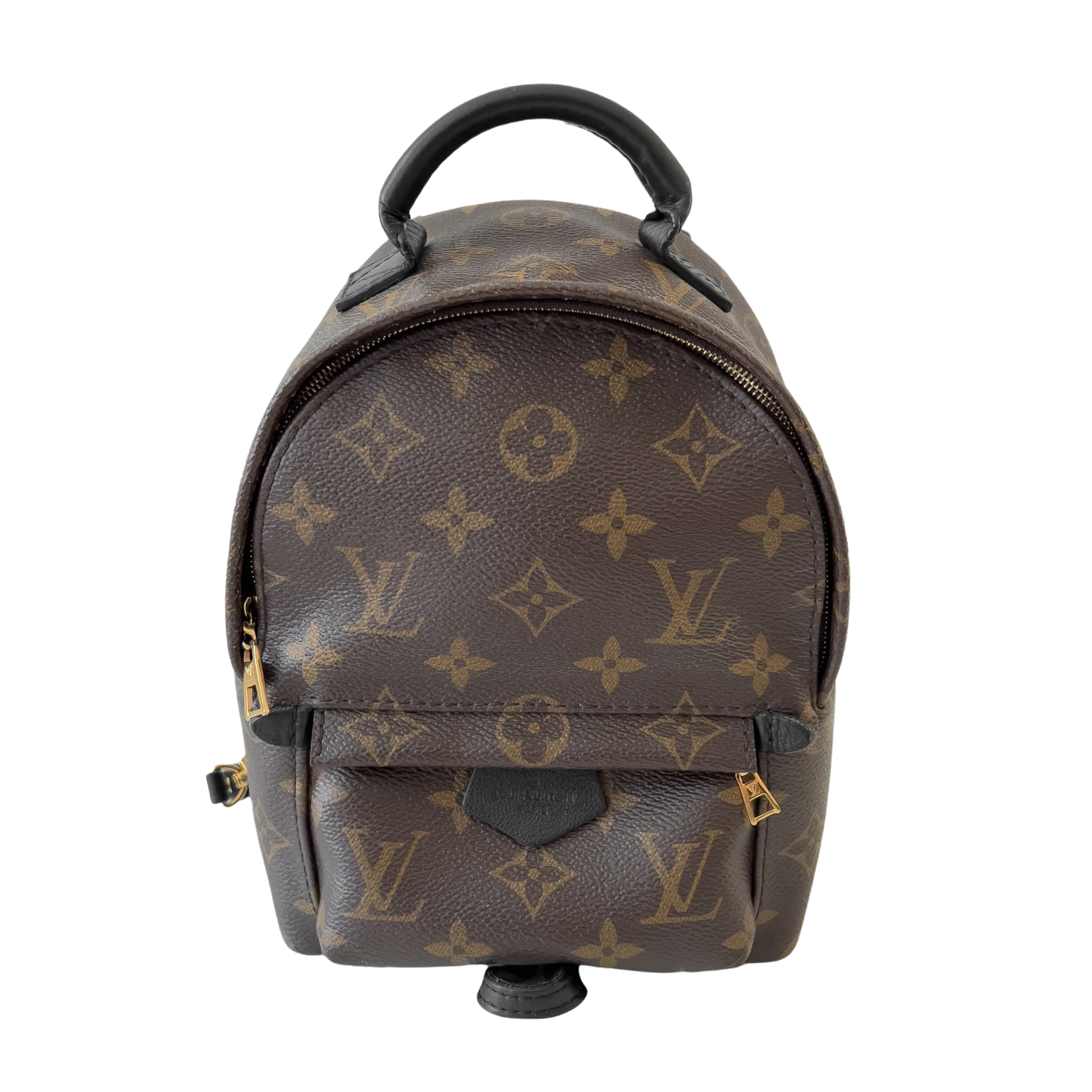 Monogram Palm Spring Mini