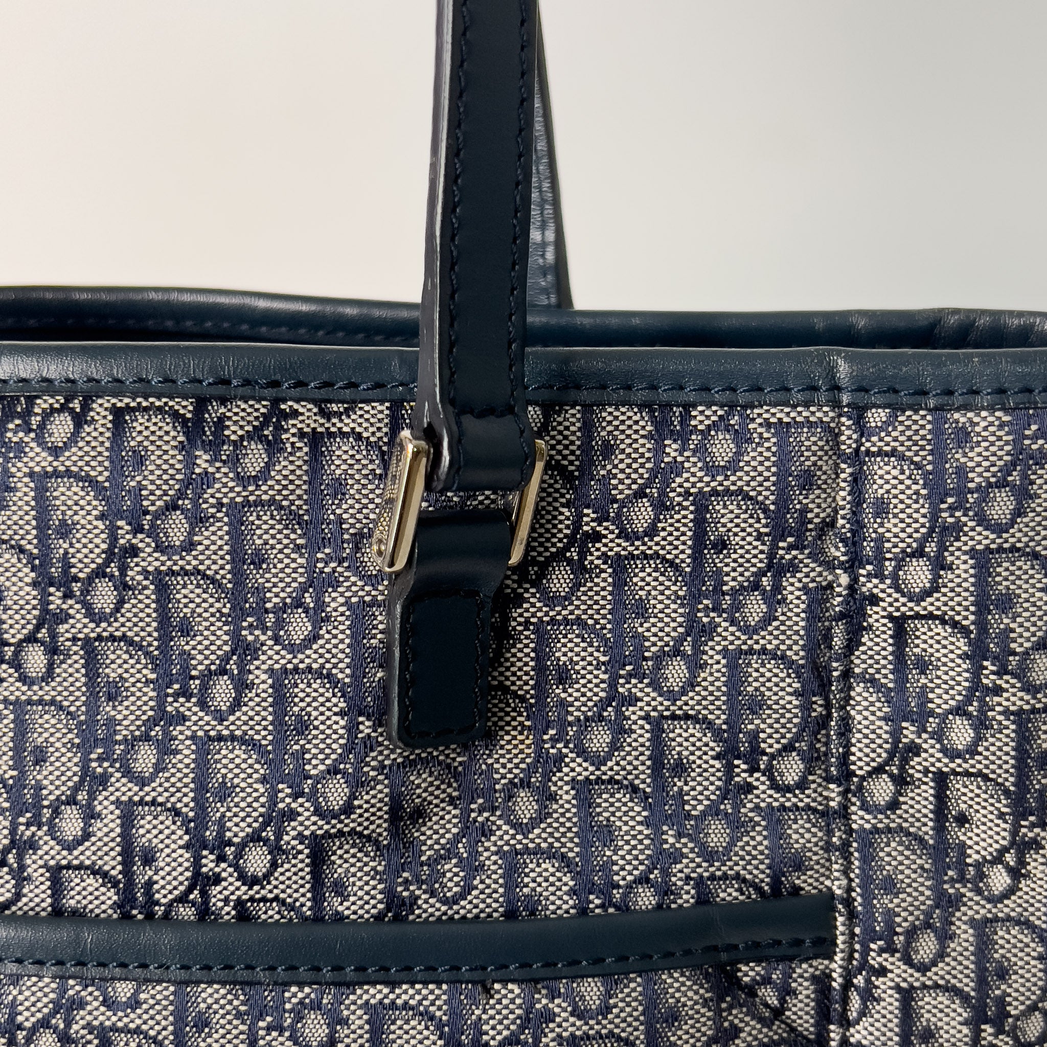 Small Trotter Canvas Tote