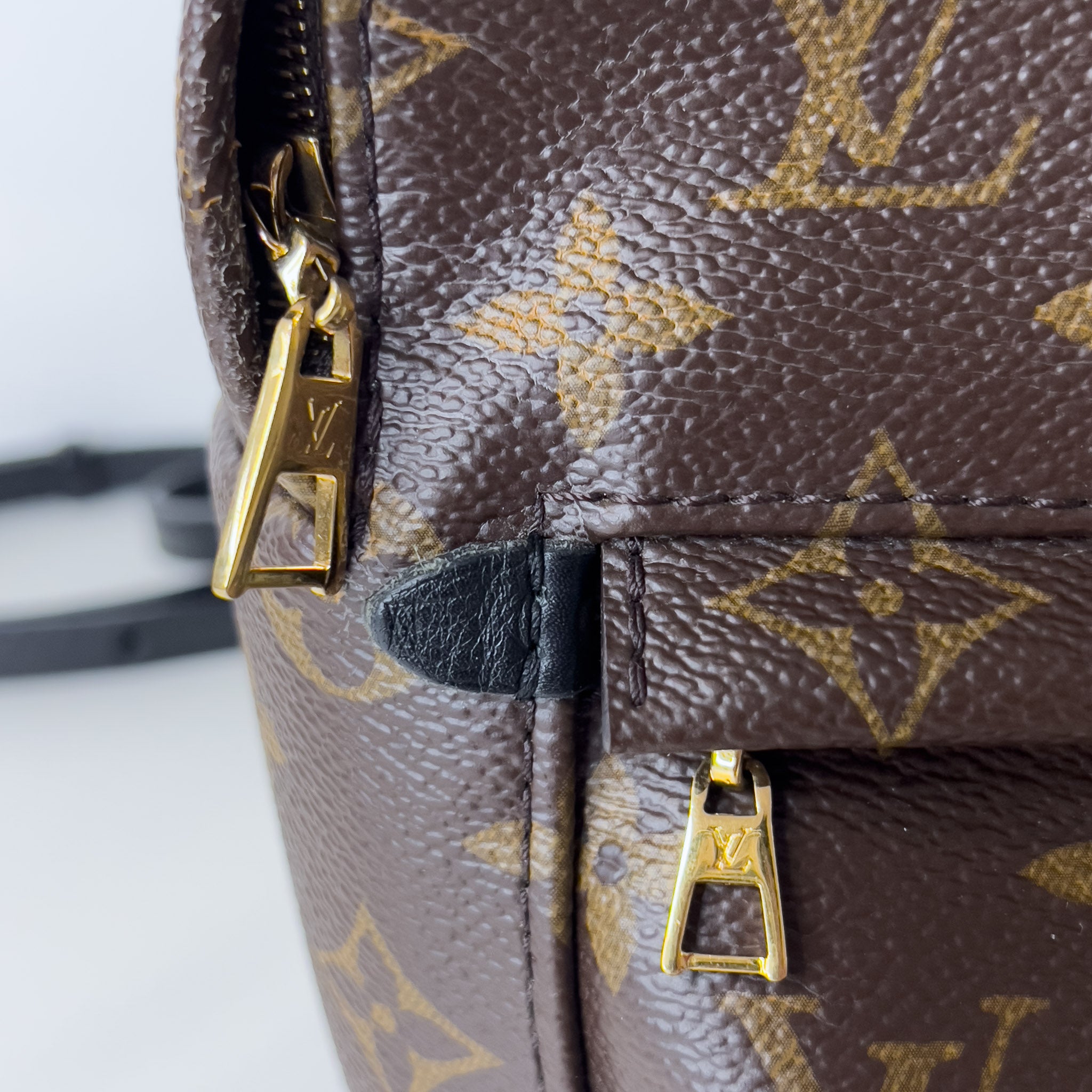 Monogram Palm Spring Mini