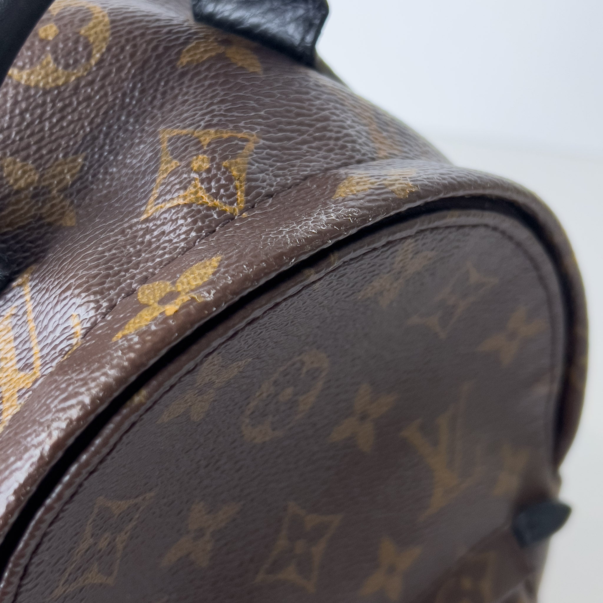 Monogram Palm Spring Mini