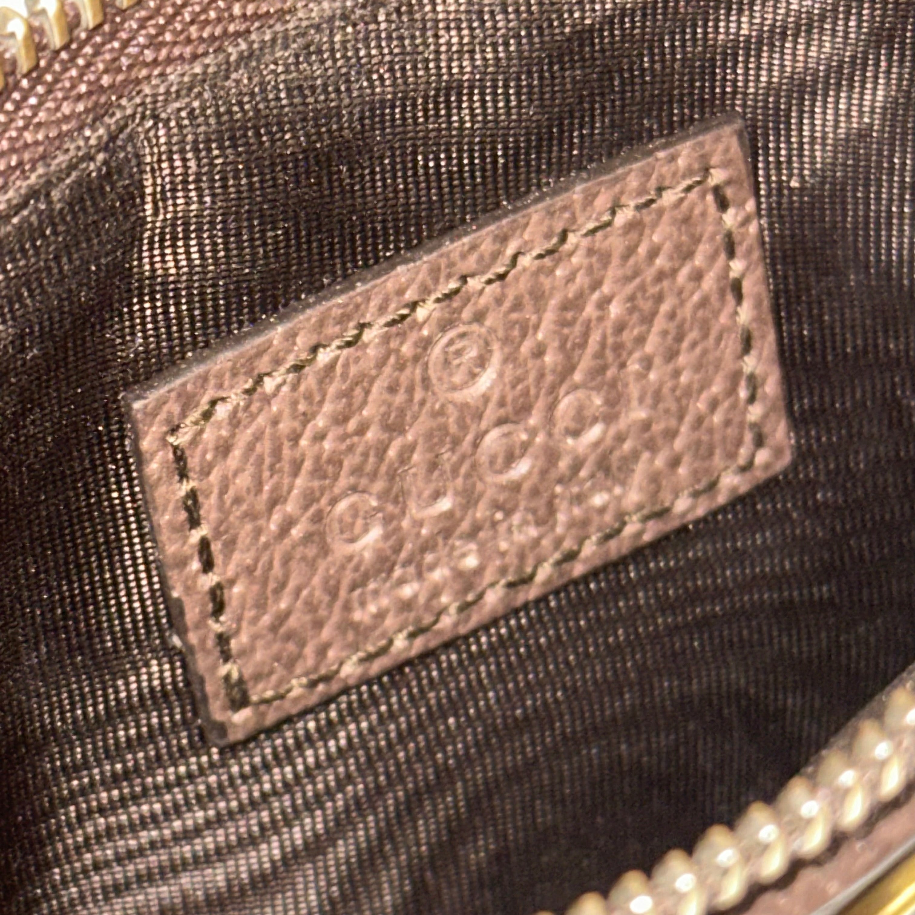Ophidia Card and Coin Holder