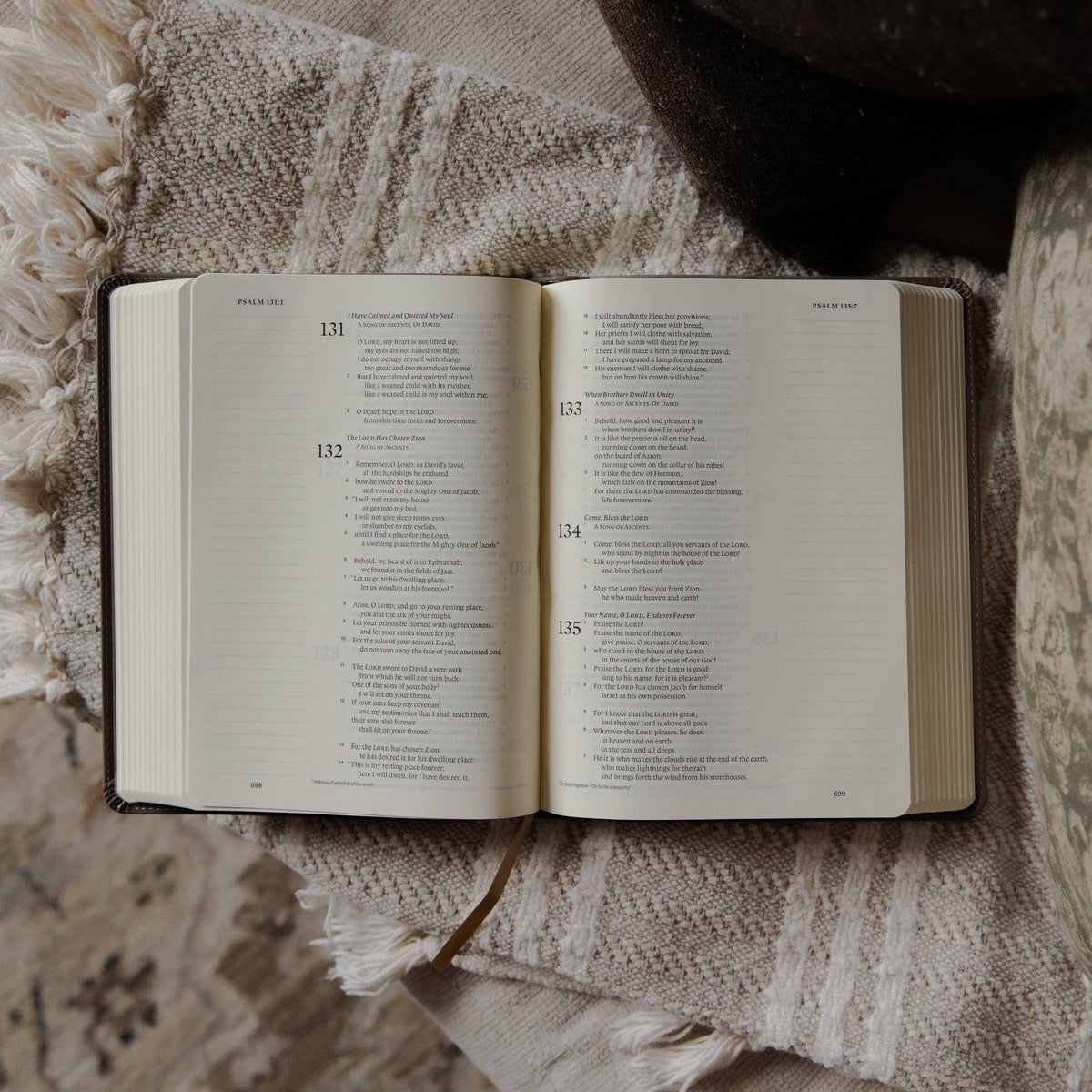 ESV Single Column Journaling Bible | Delight