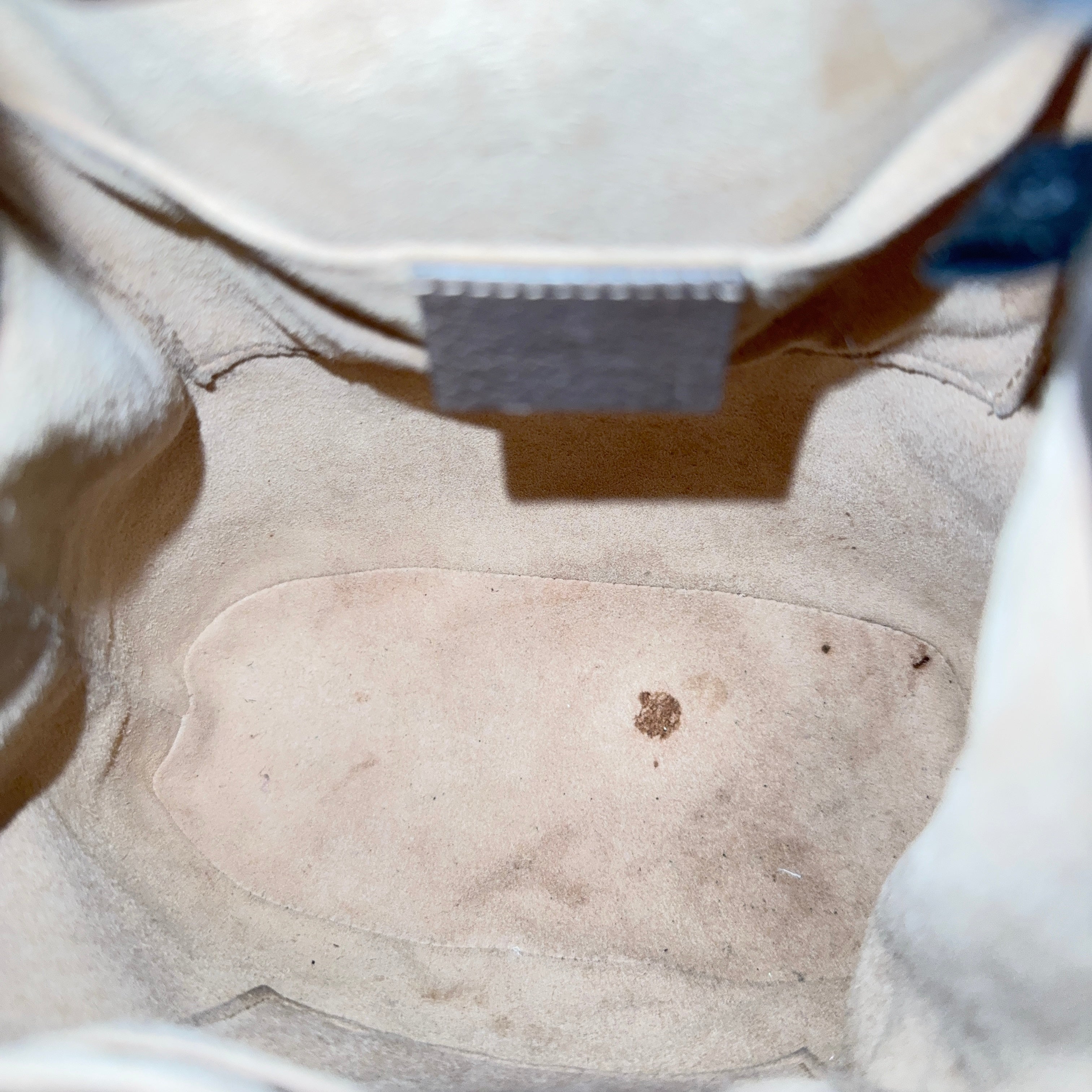 Small Ophidia Bucket Bag