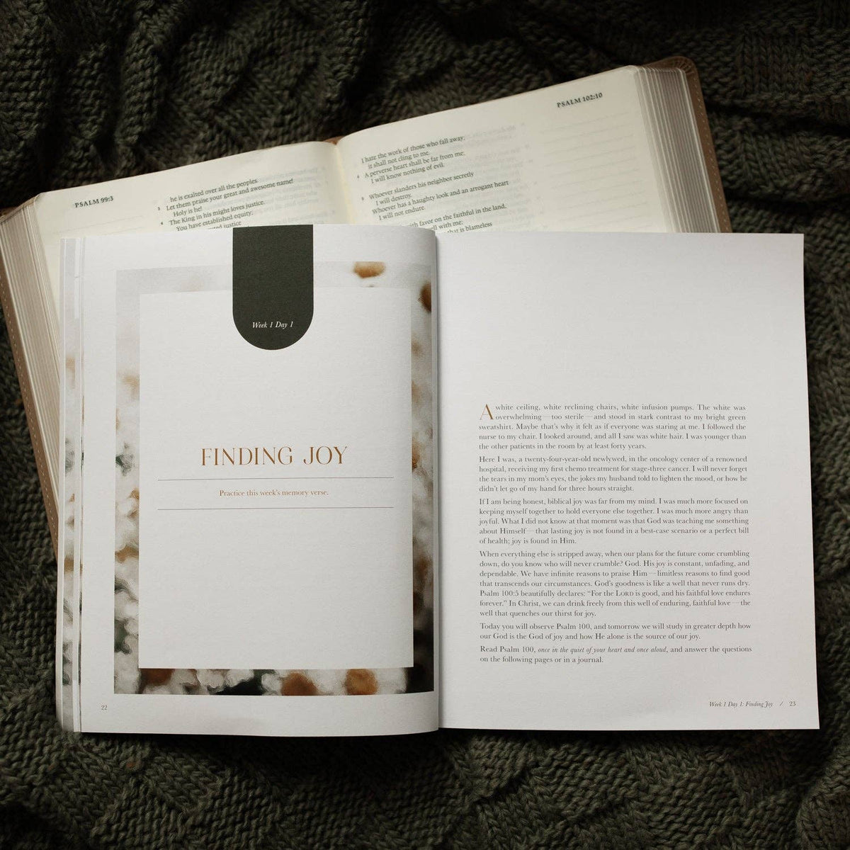 A Joy That Endures Bible Study