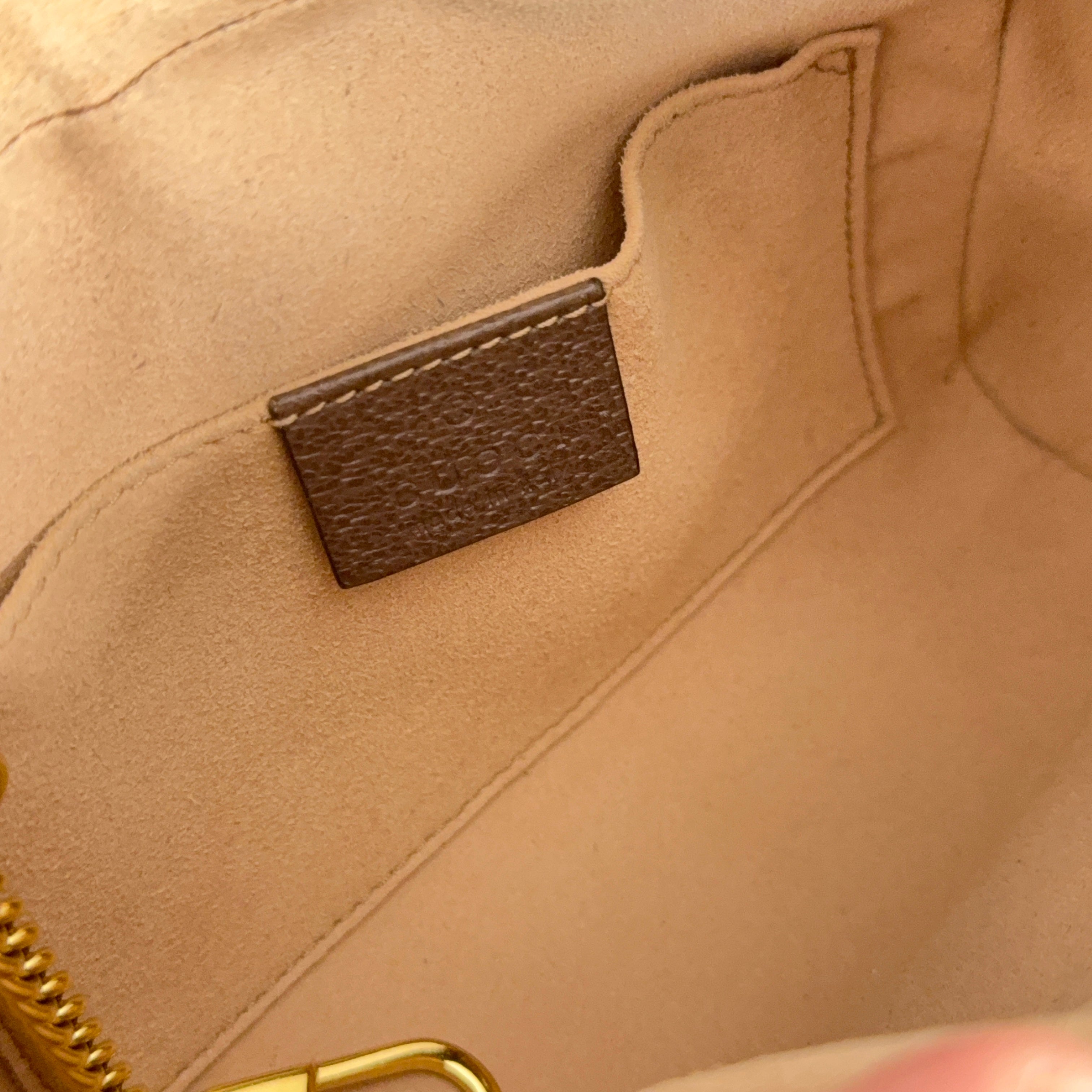 Ophidia Mini Shoulder Bag