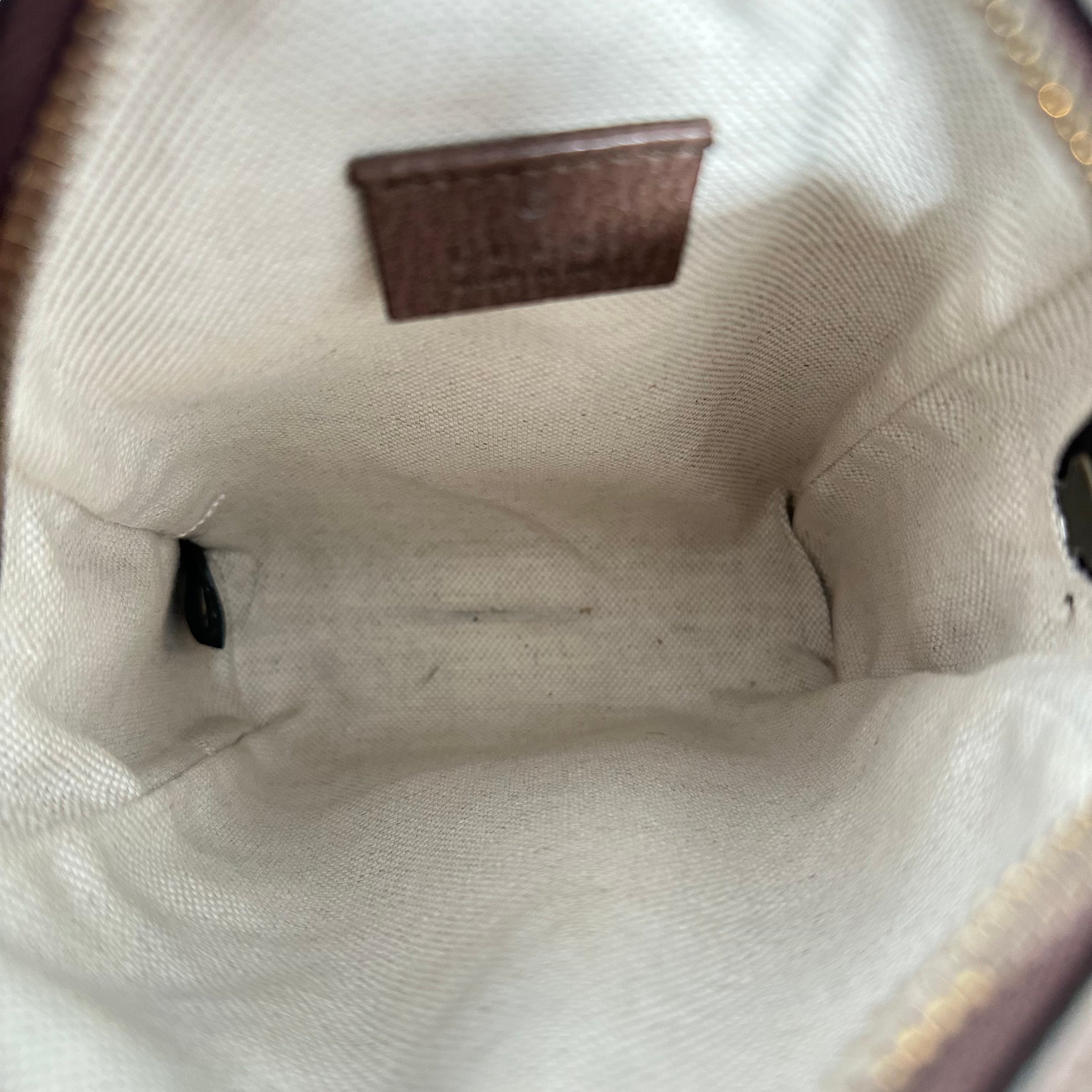 Mini Ophidia Messenger Bag