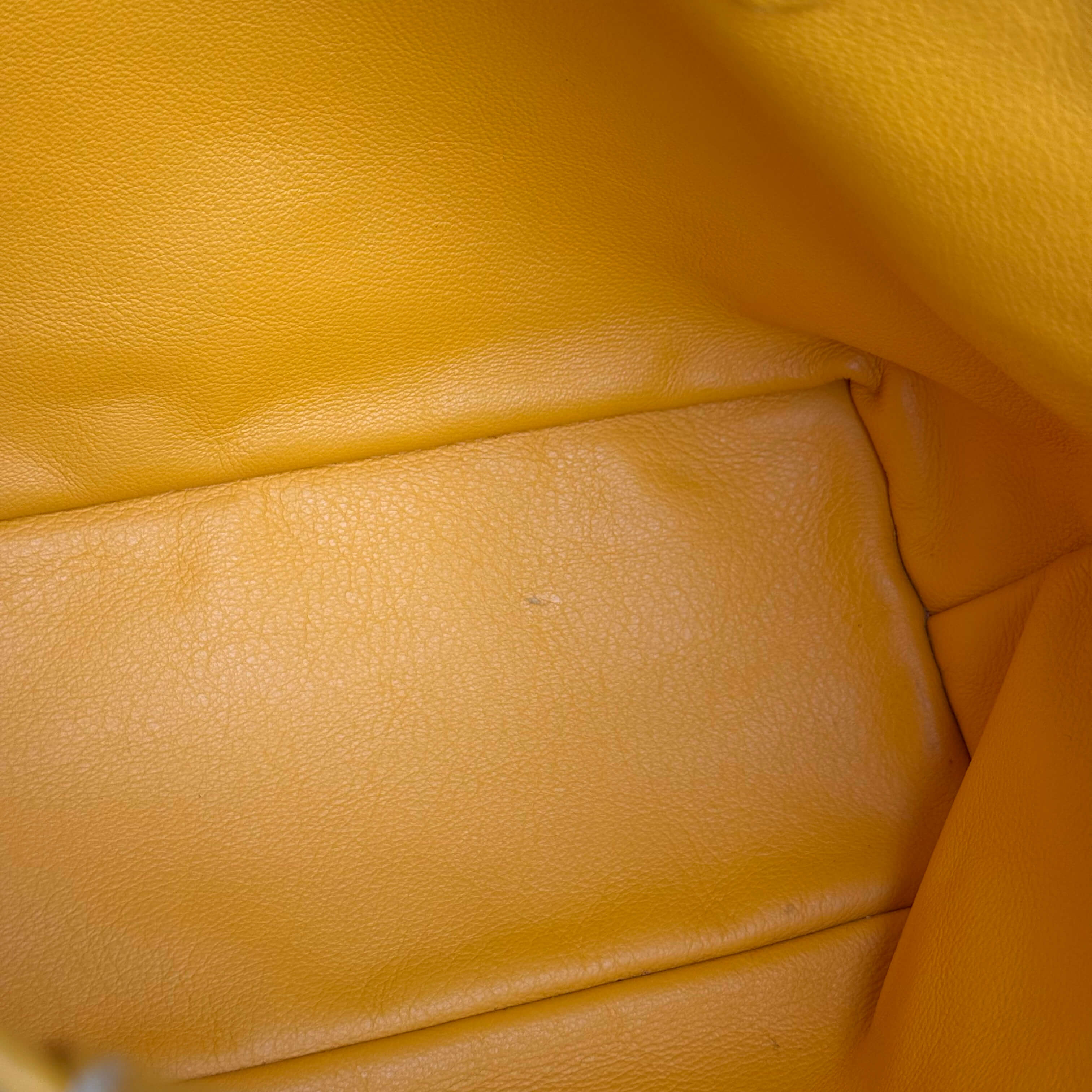 Yellow Mini Anjou