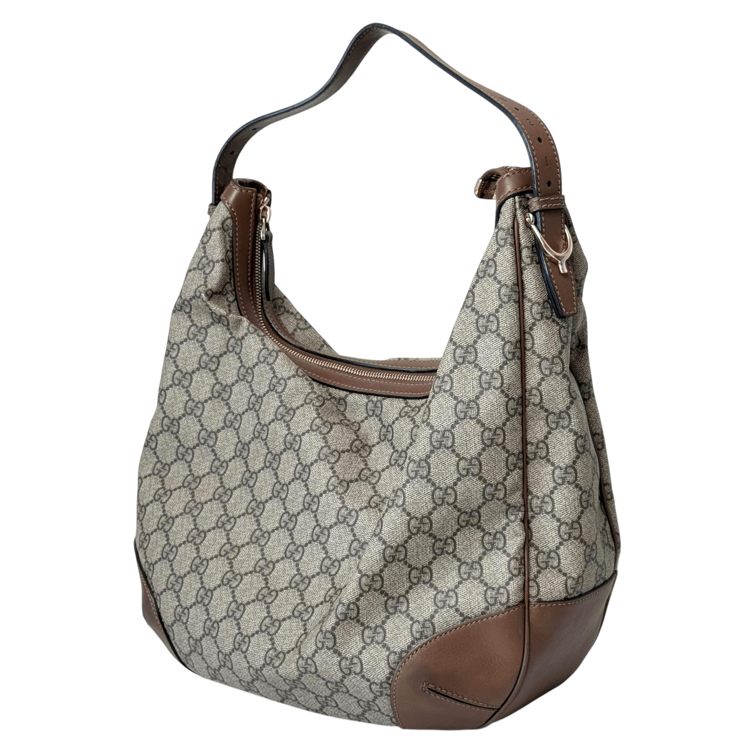 GG Web Hobo Shoulder Bag