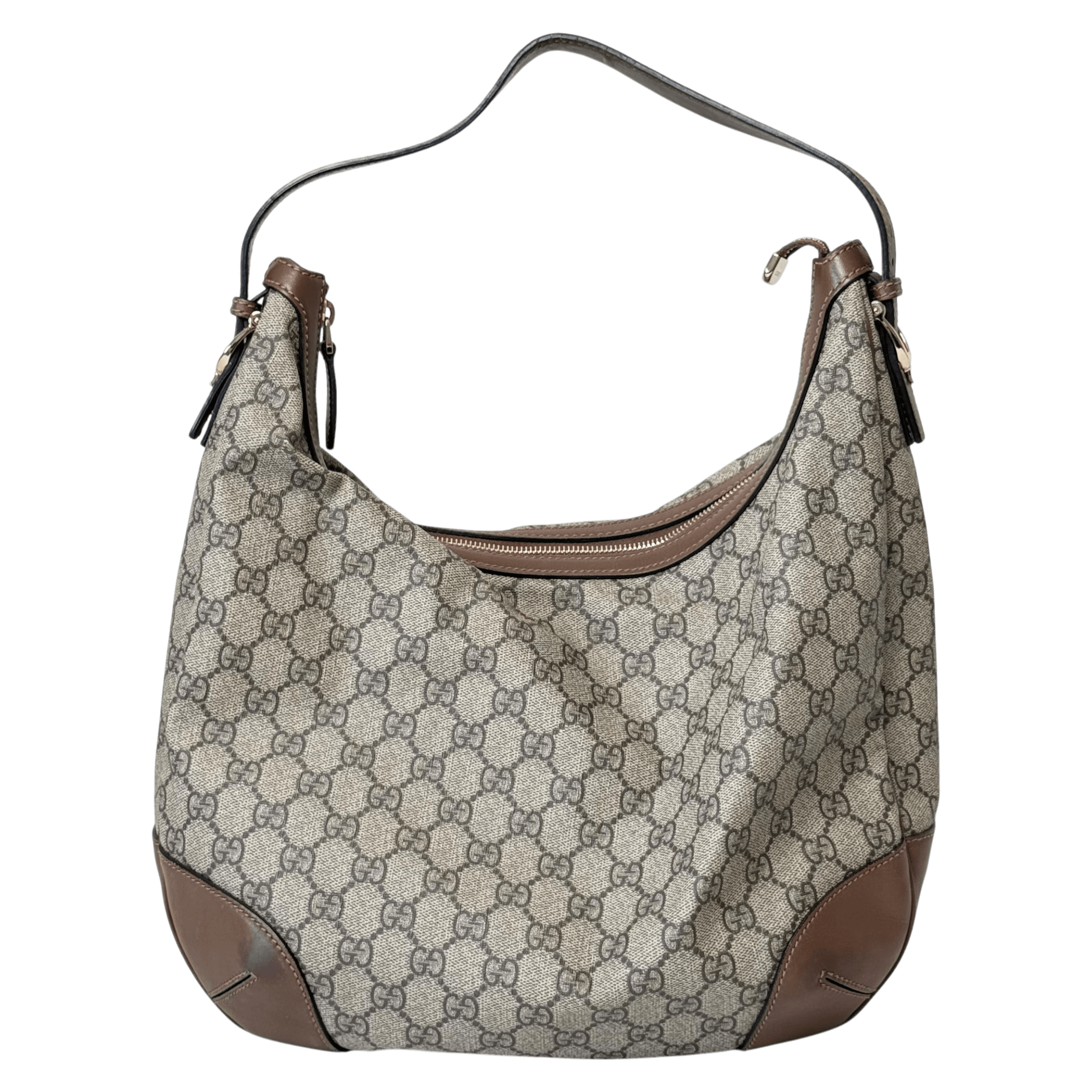 GG Web Hobo Shoulder Bag