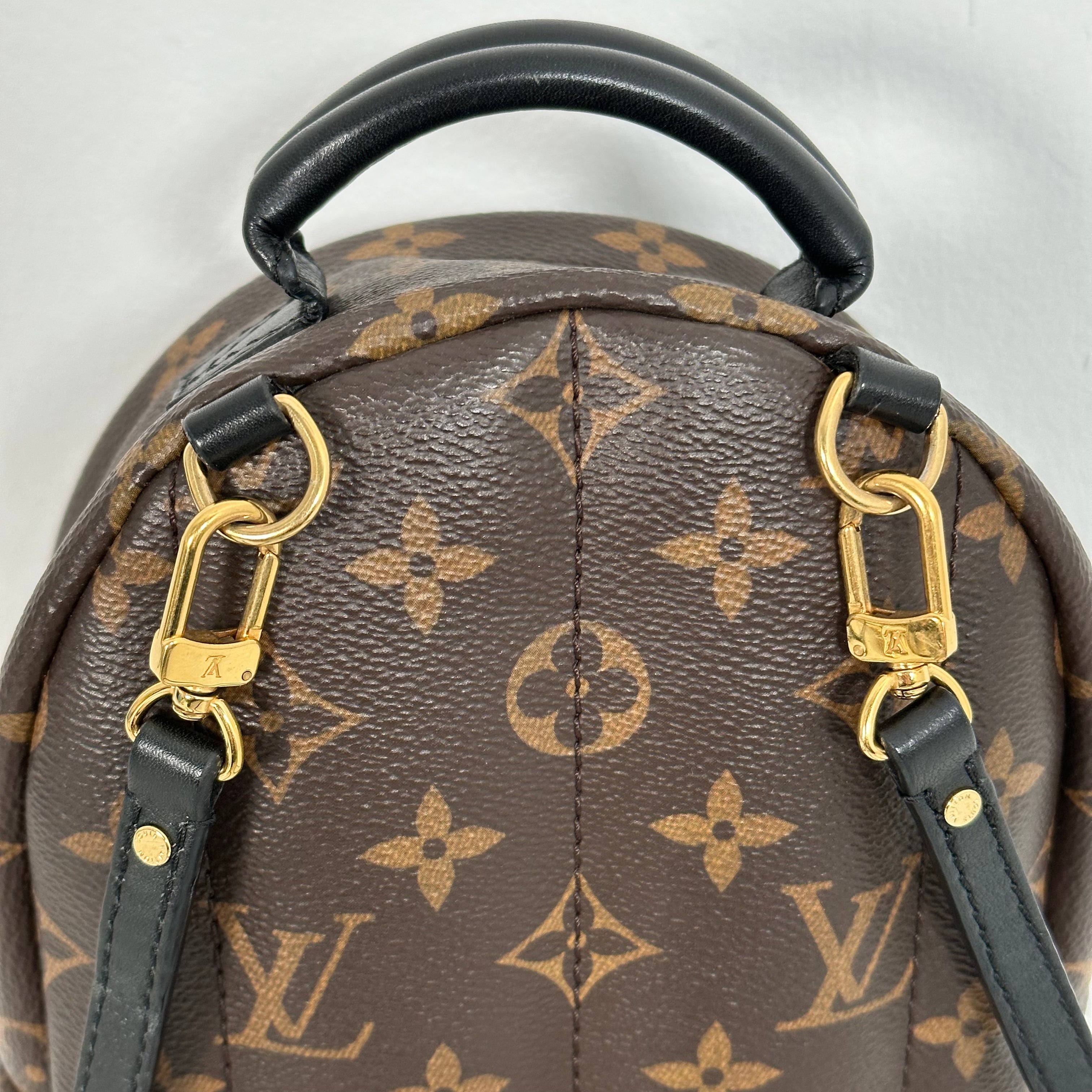 Palm Spring Mini