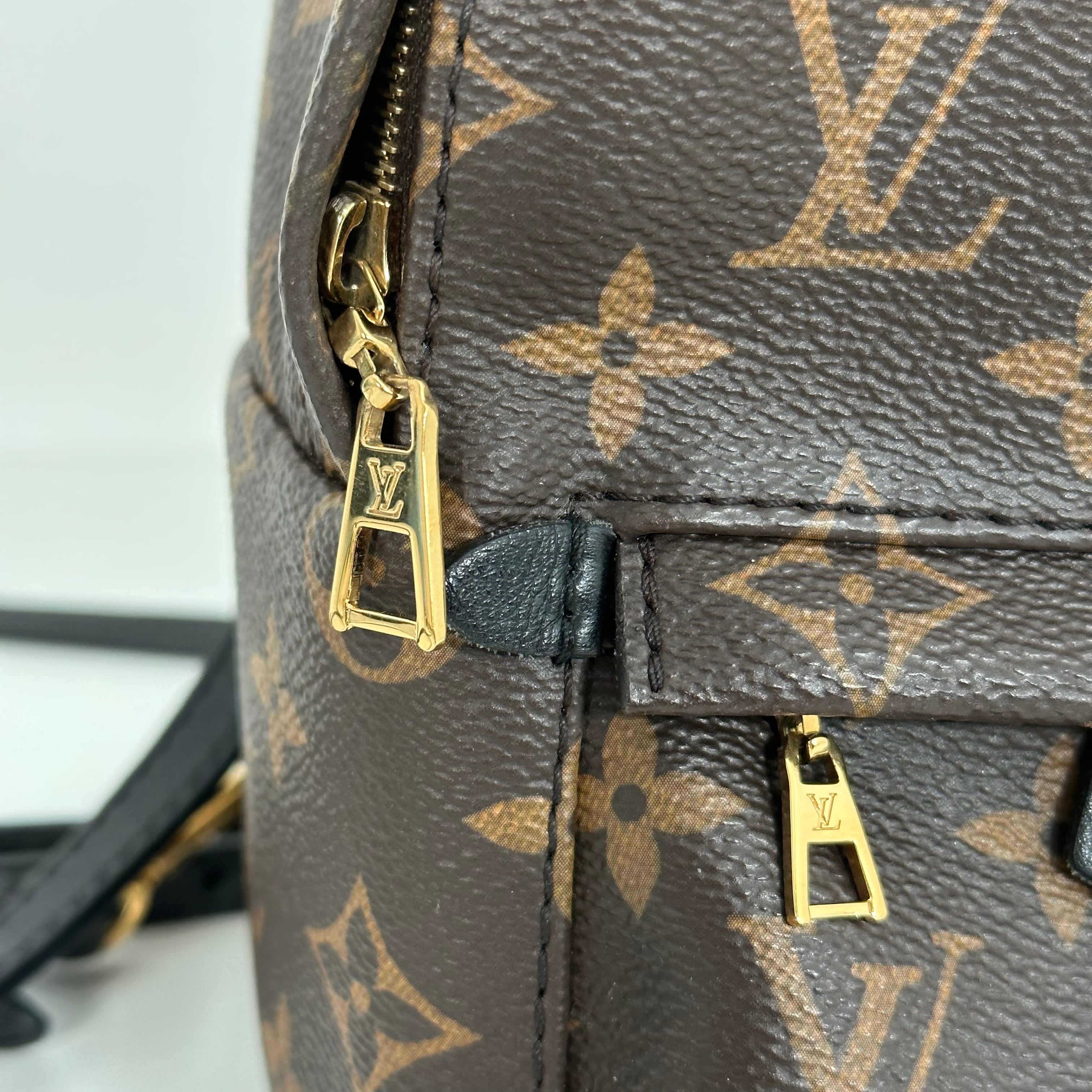 Palm Spring Mini