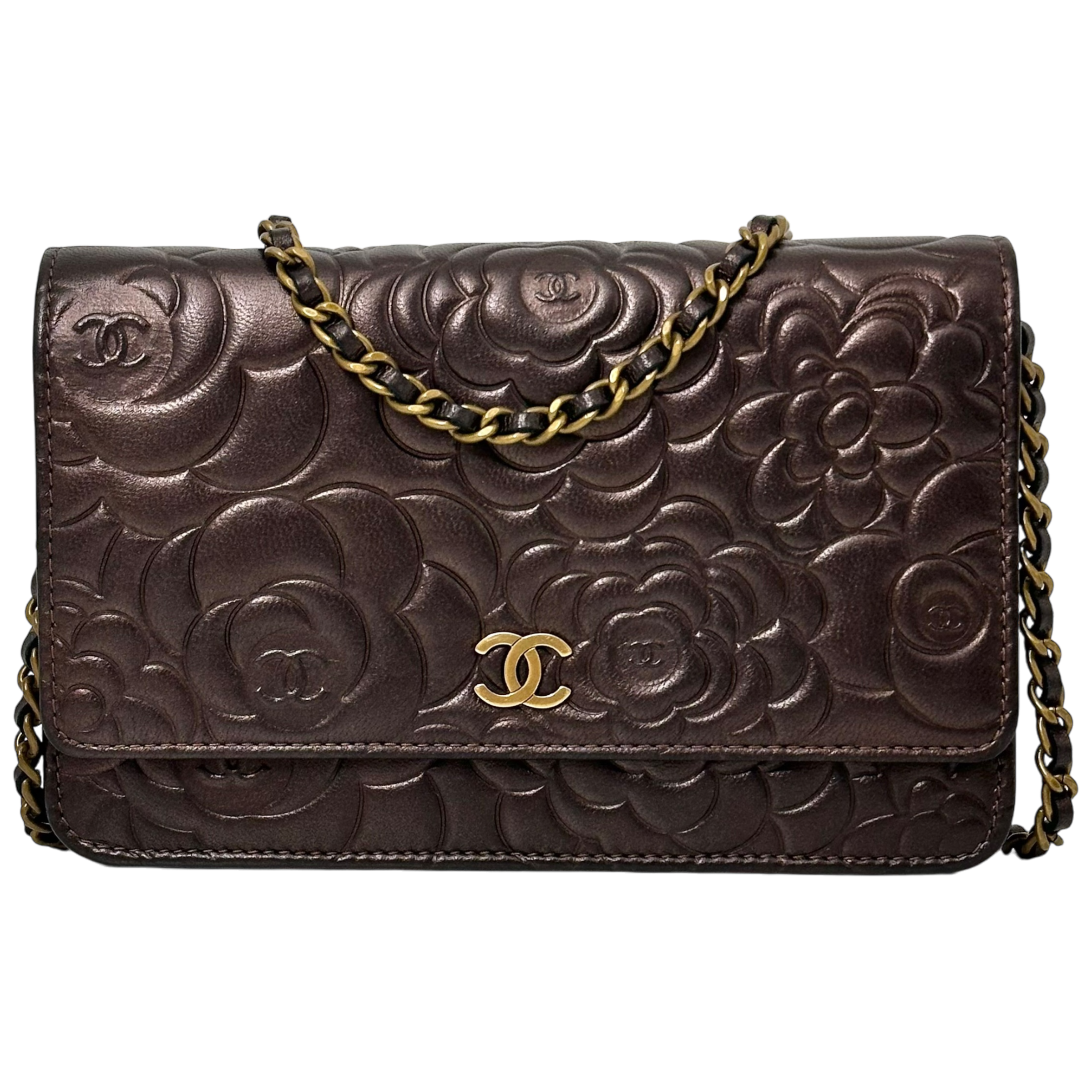 Bronze Camelia WOC
