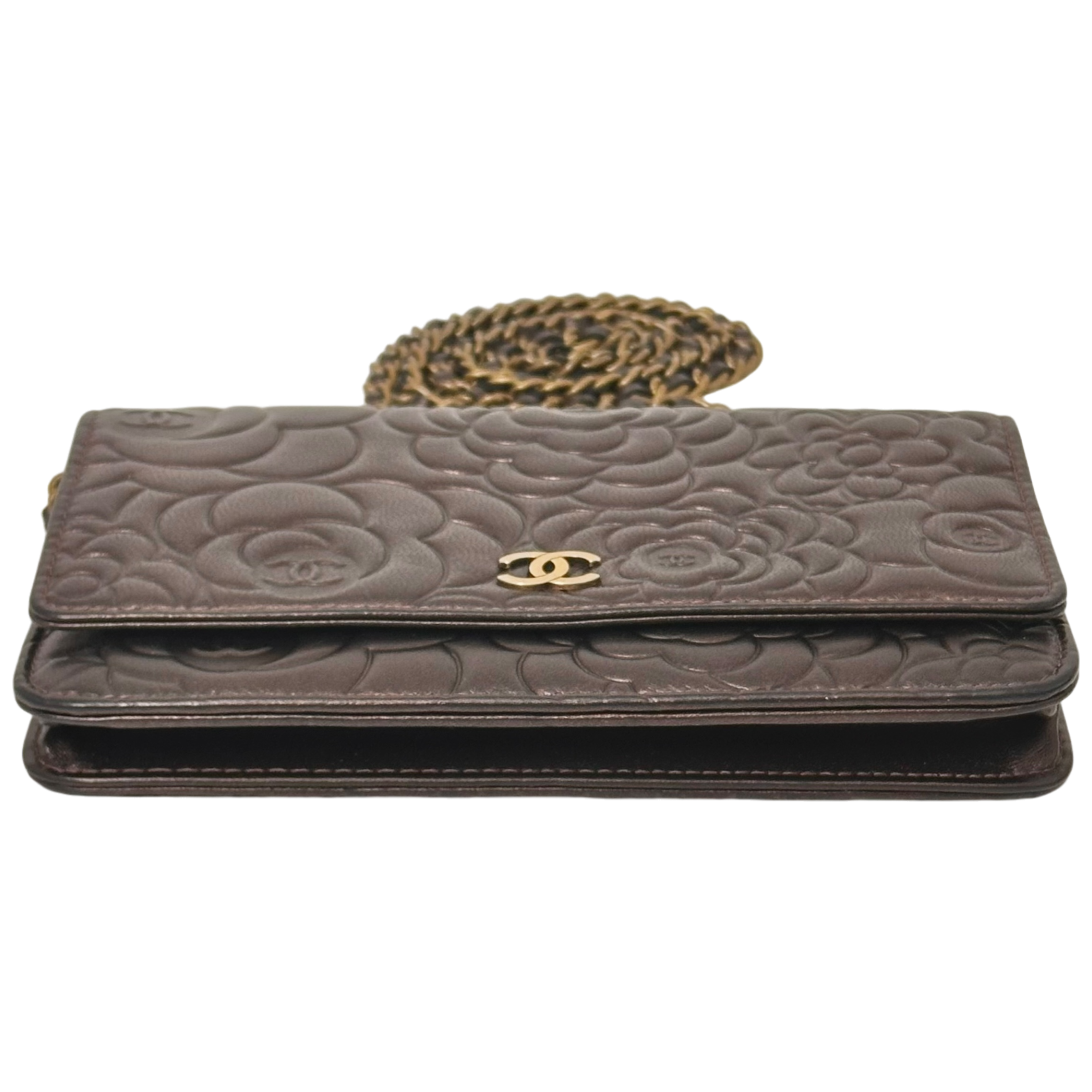 Bronze Camelia WOC