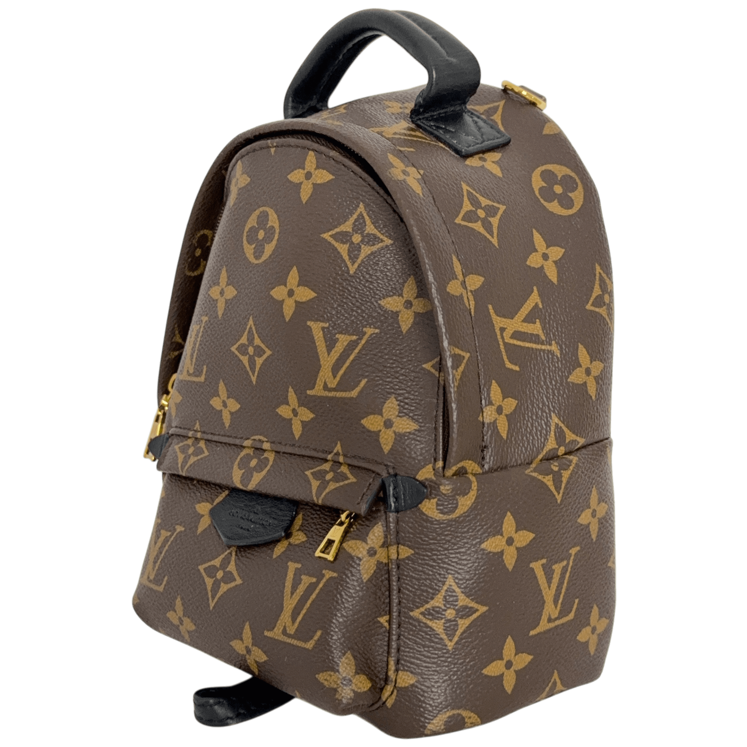 Palm Spring Mini