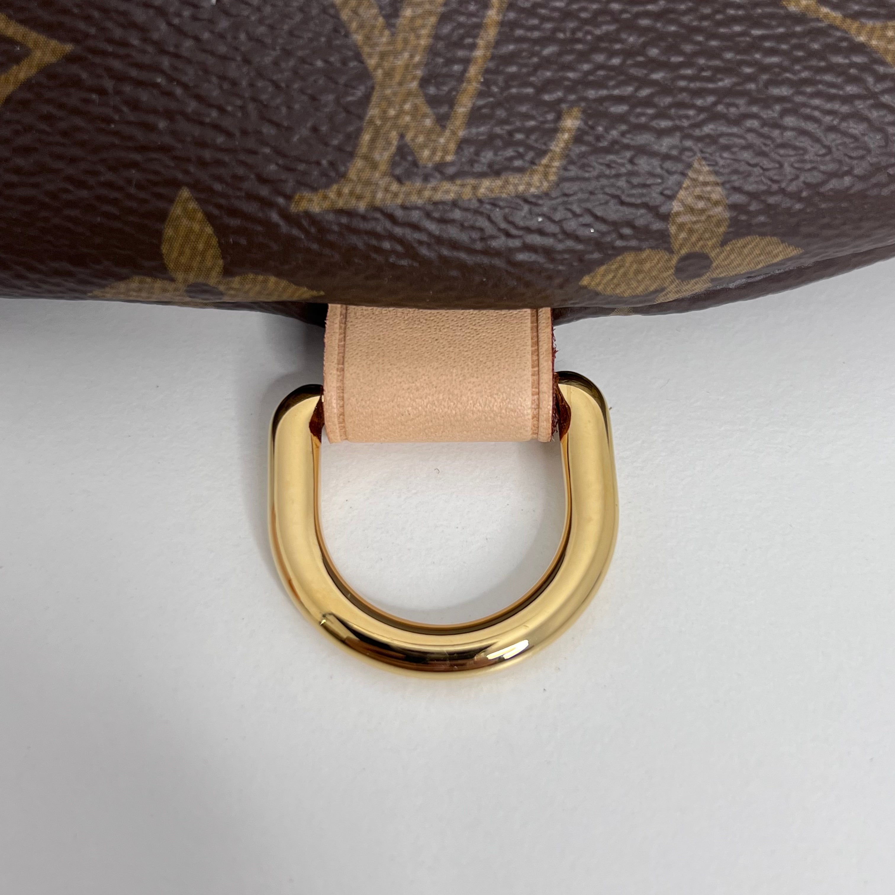 Monogram Bumbag