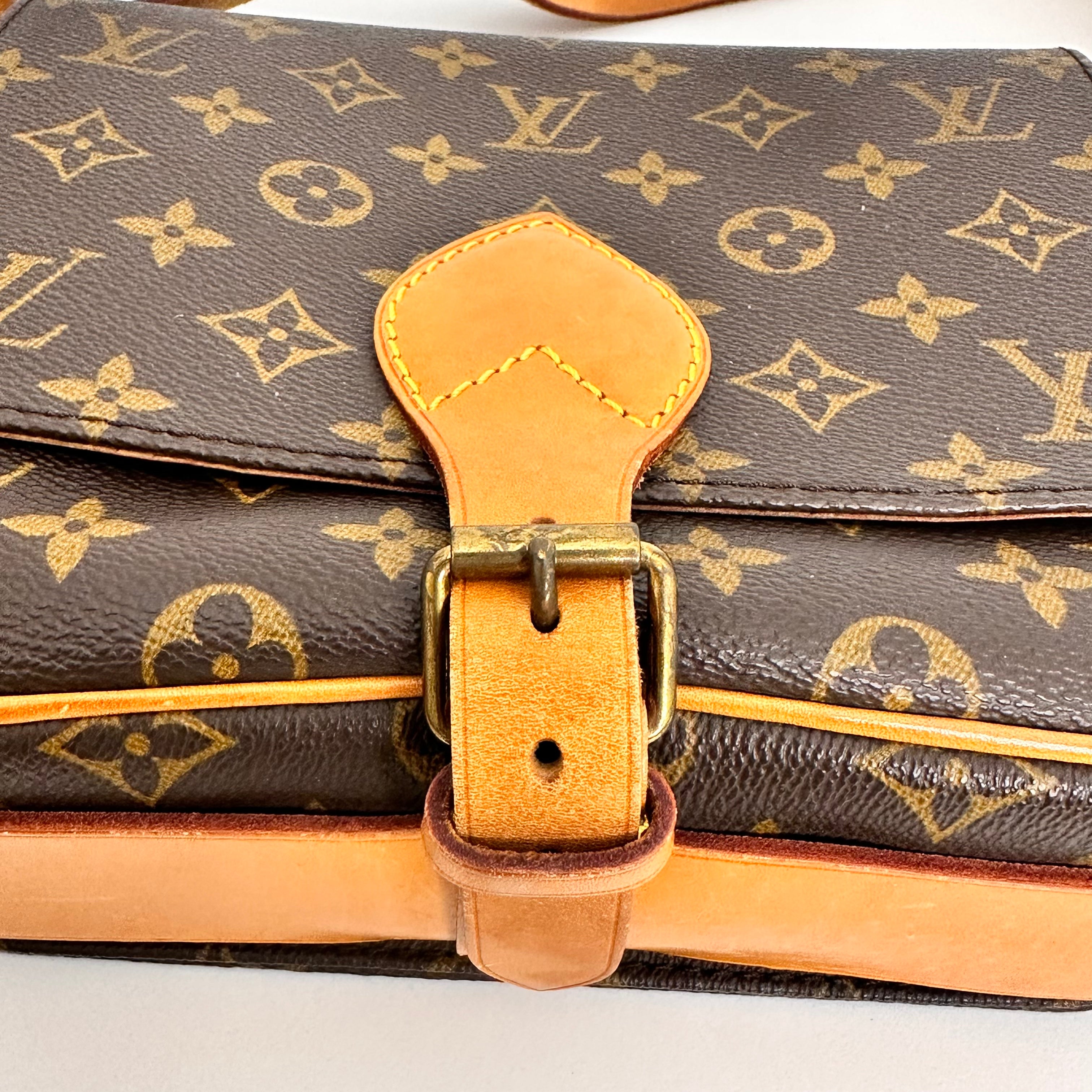 Monogram Cartouchiere PM