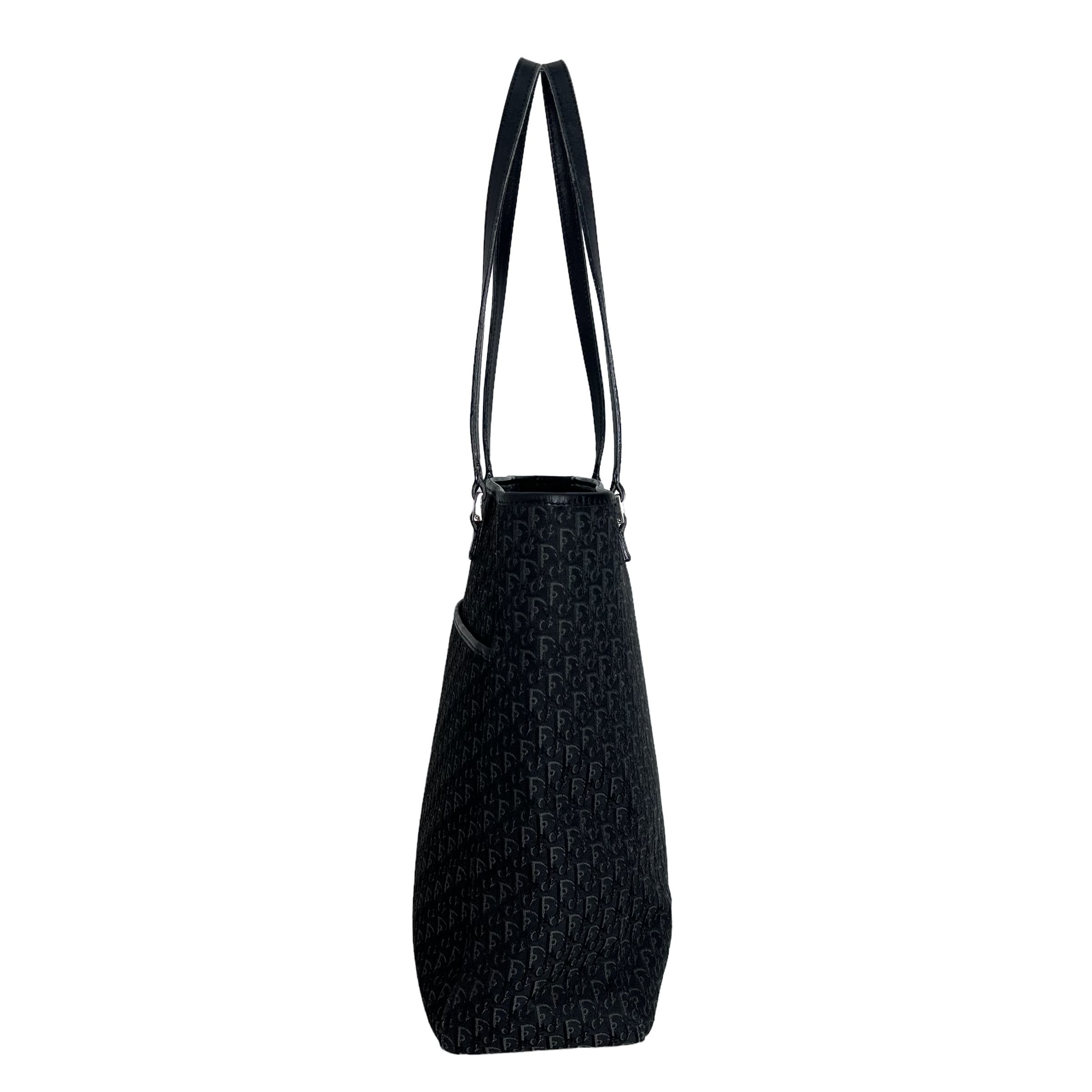 Small Trotter Canvas Tote