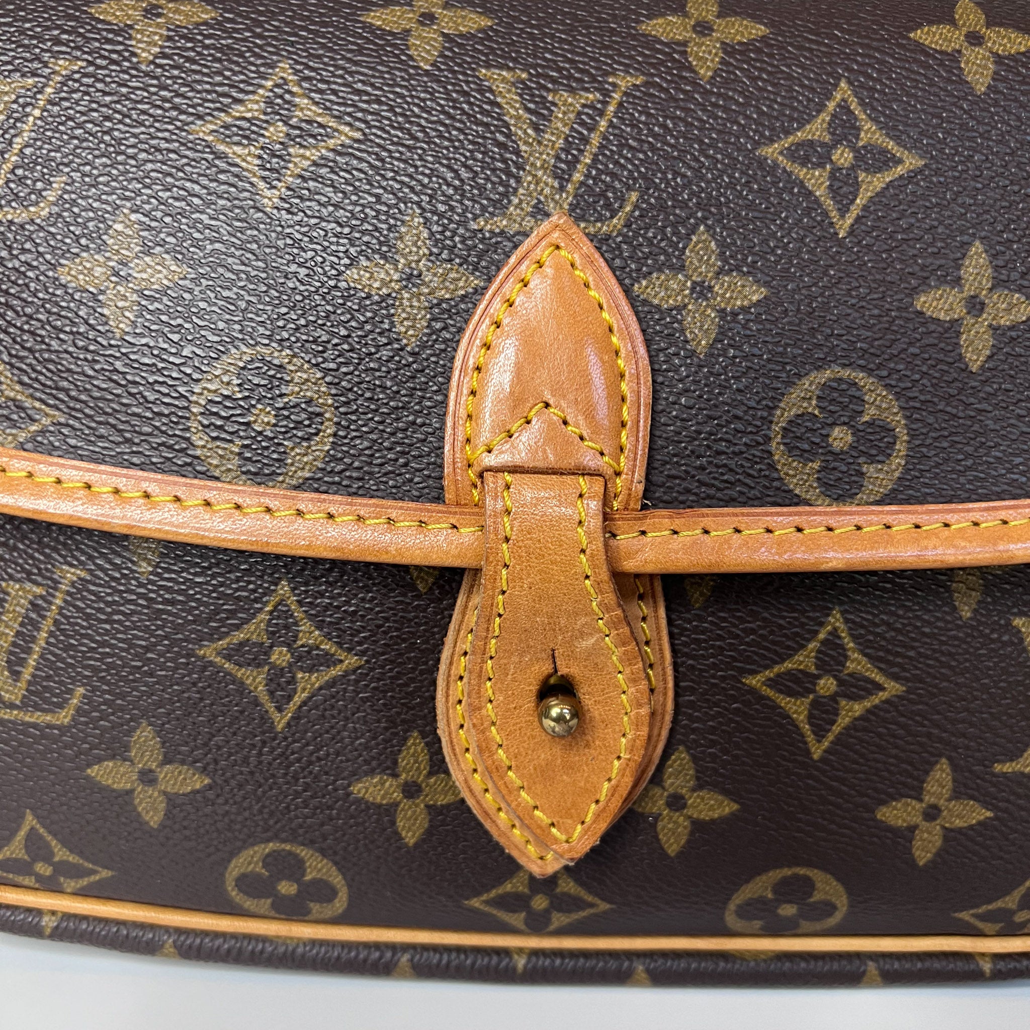Monogram Gibeciere PM